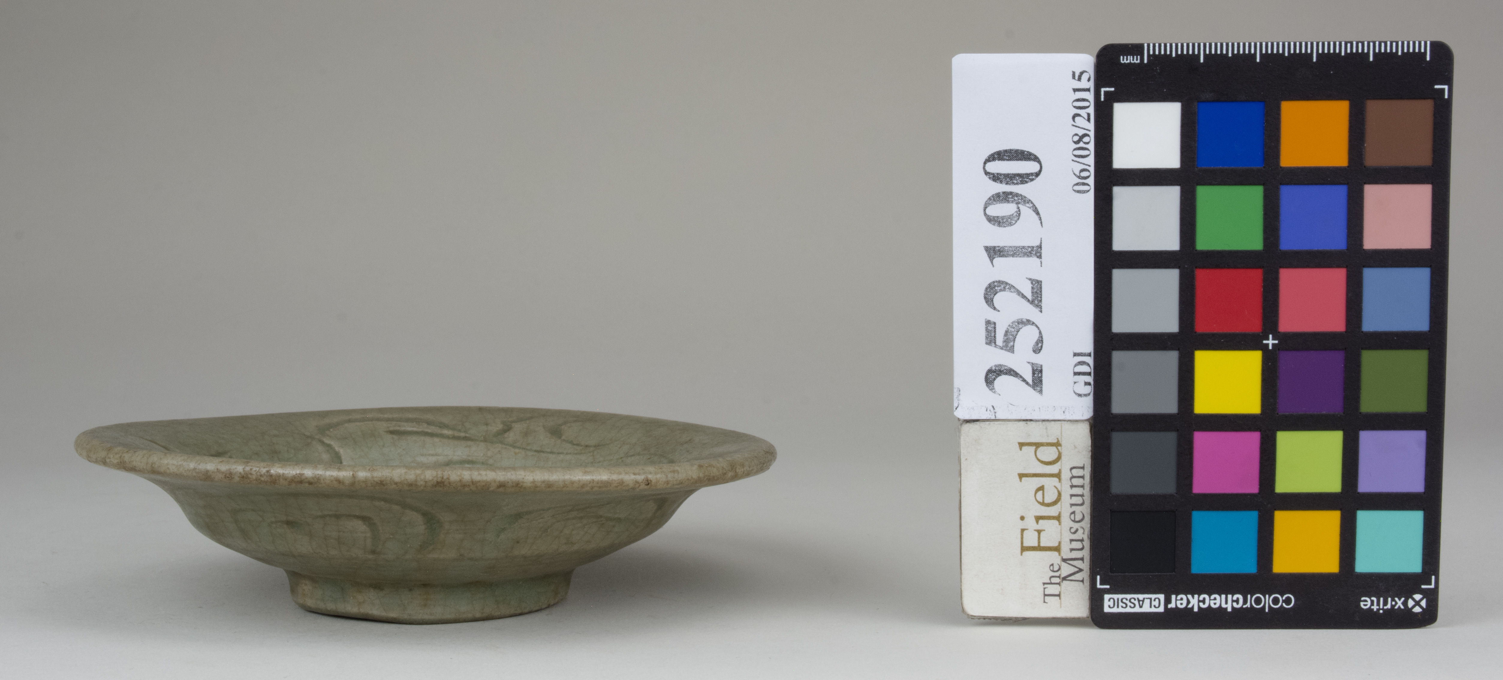 reference image, back (c) Field Museum of Natural History - CC BY-NC 4.0