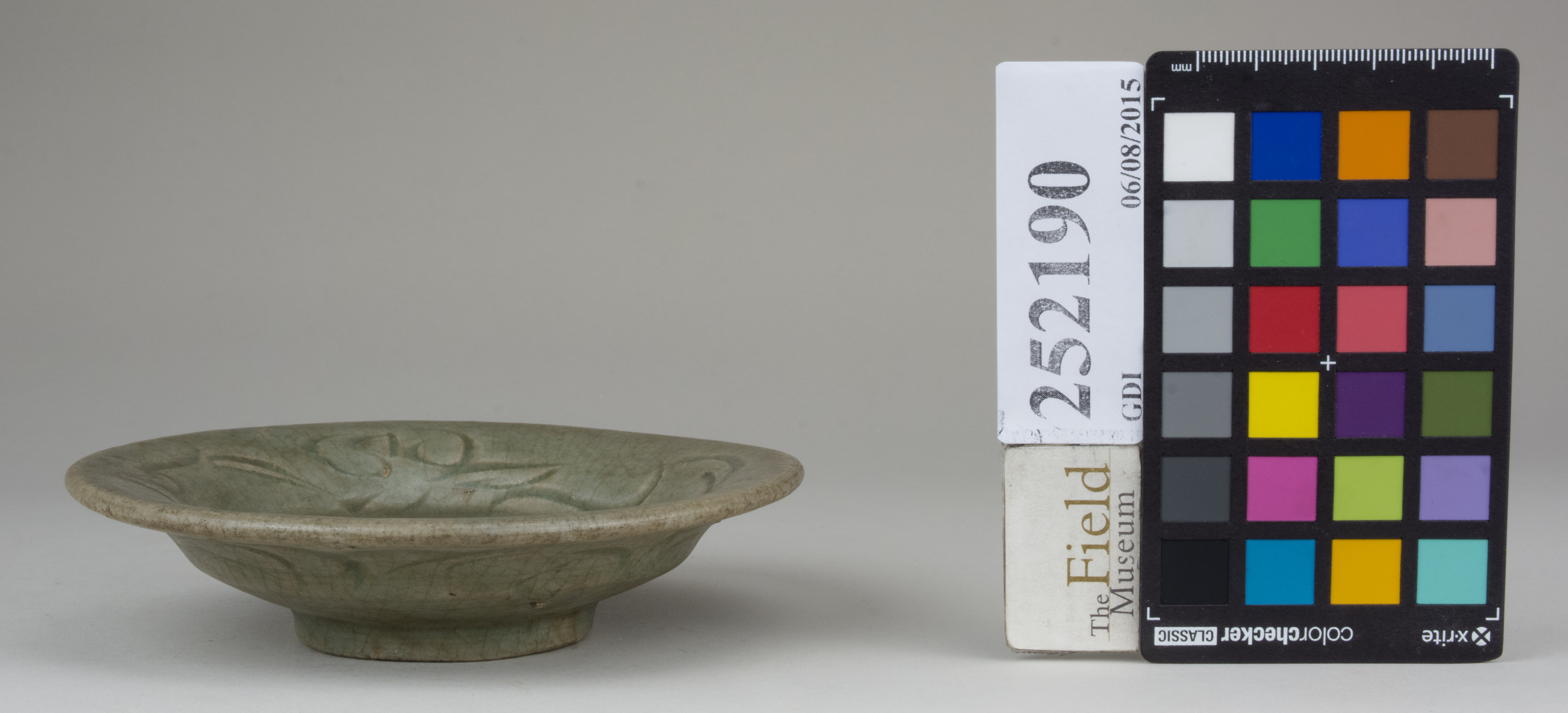 Front (c) Field Museum of Natural History - CC BY-NC 4.0