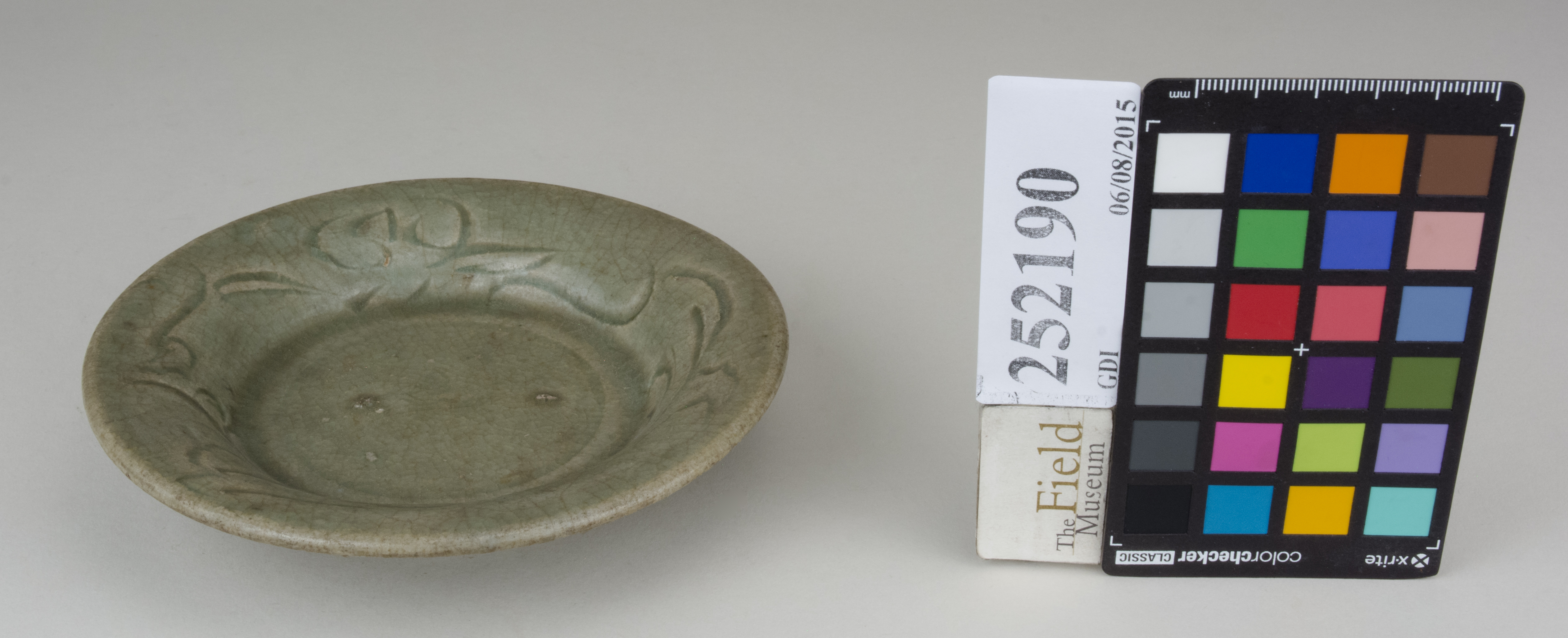 FrontAngle (c) Field Museum of Natural History - CC BY-NC 4.0