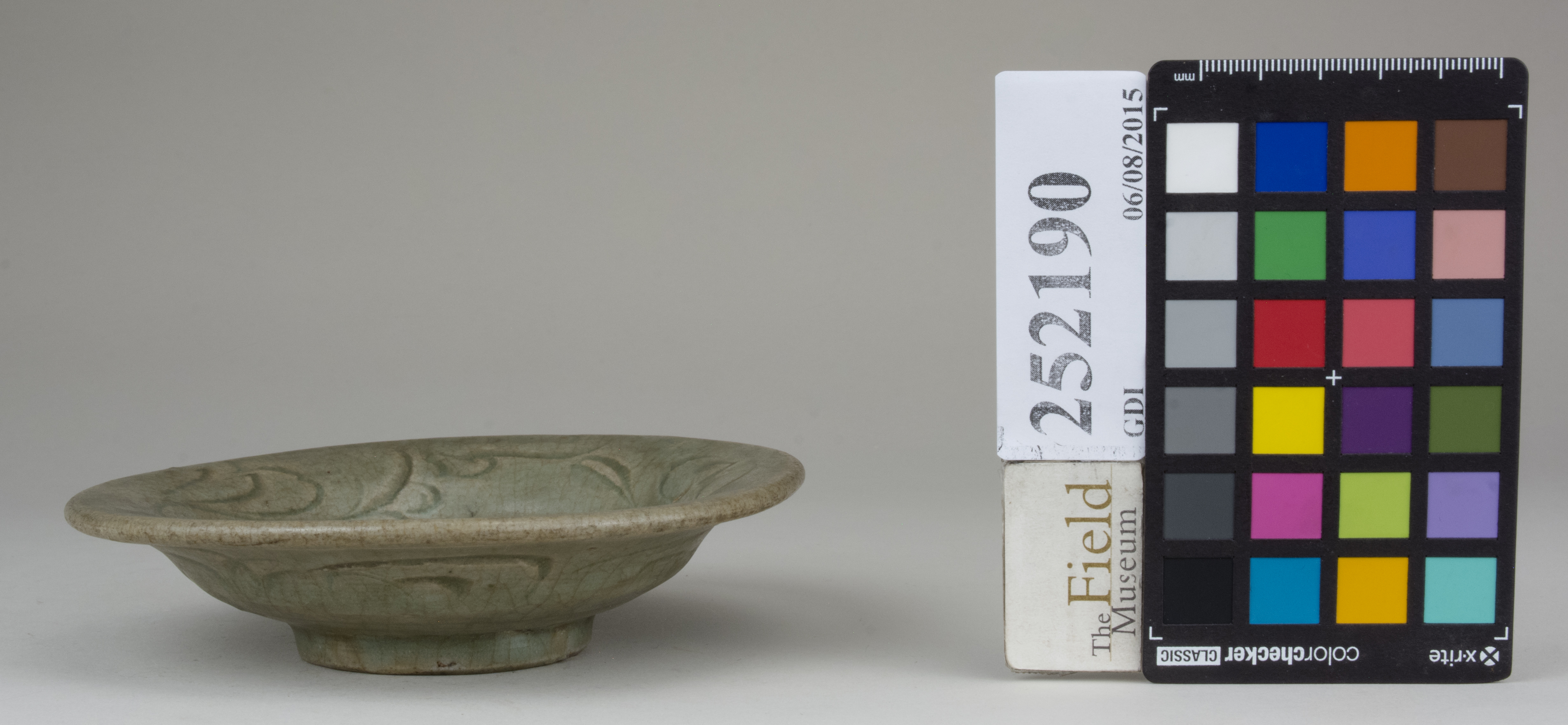 Left (c) Field Museum of Natural History - CC BY-NC 4.0