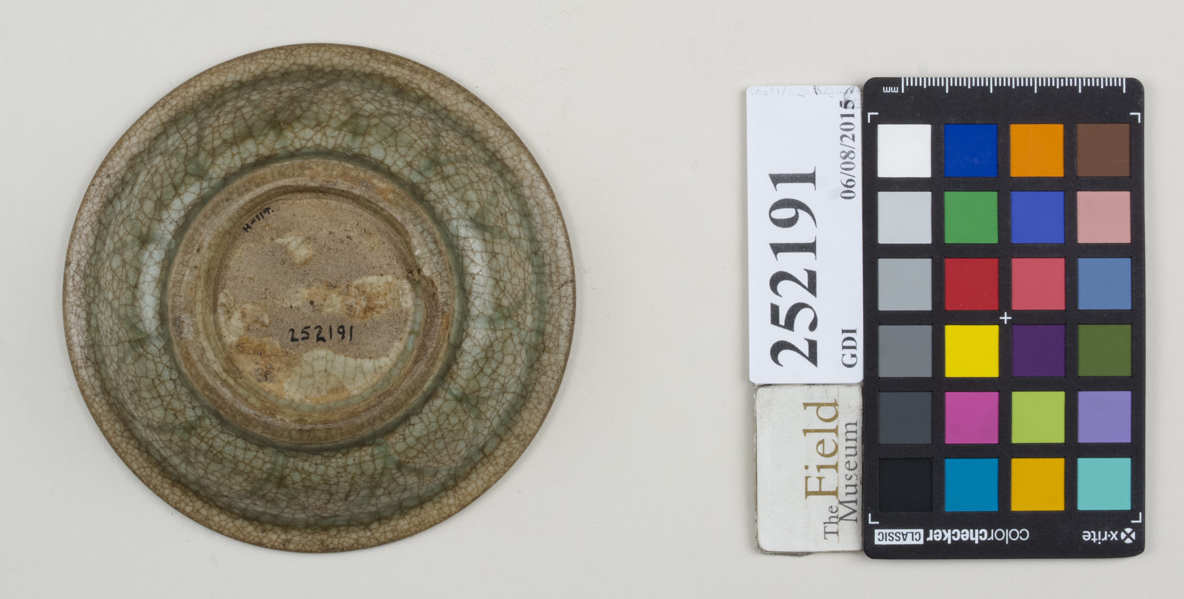 Bottom (c) Field Museum of Natural History - CC BY-NC 4.0