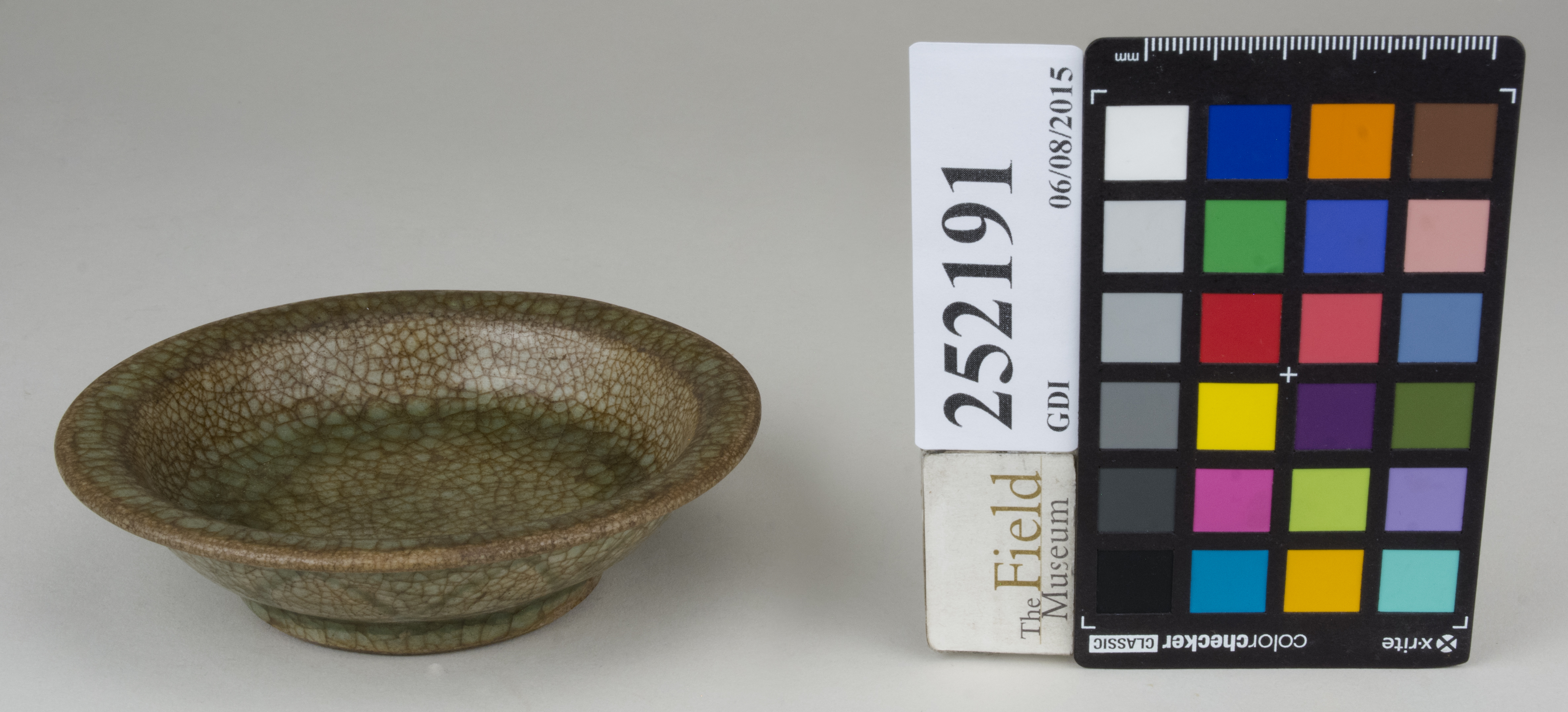 FrontAngle (c) Field Museum of Natural History - CC BY-NC 4.0