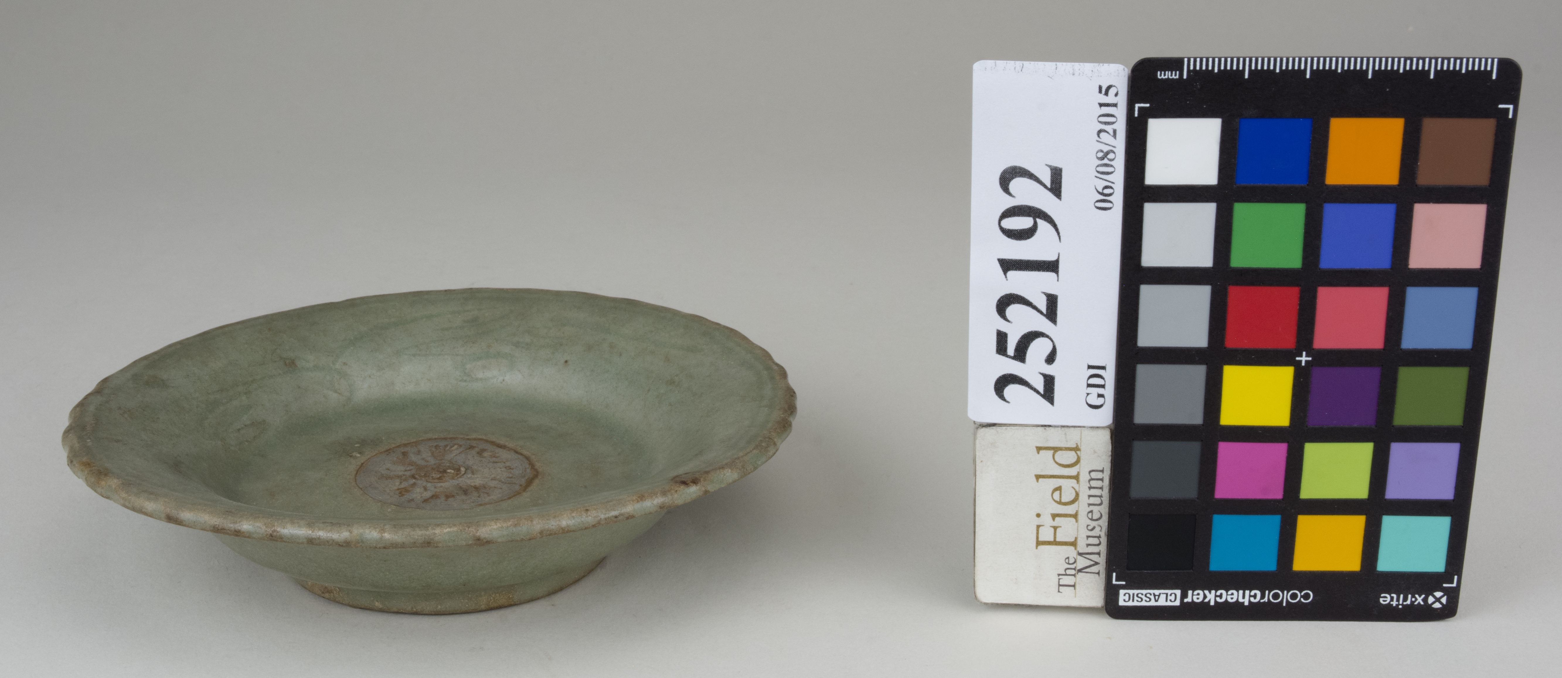 FrontAngle (c) Field Museum of Natural History - CC BY-NC 4.0