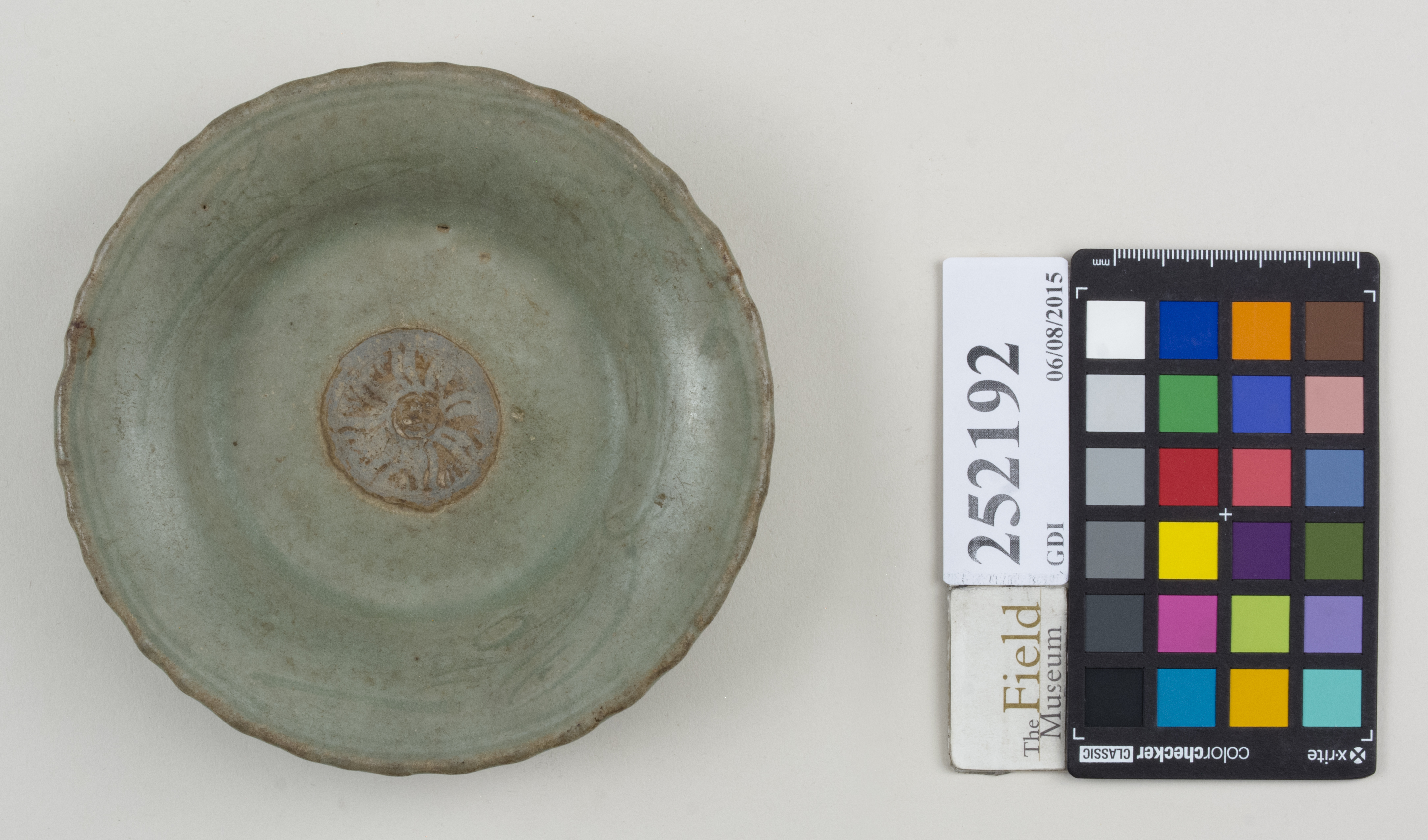 Top (c) Field Museum of Natural History - CC BY-NC 4.0