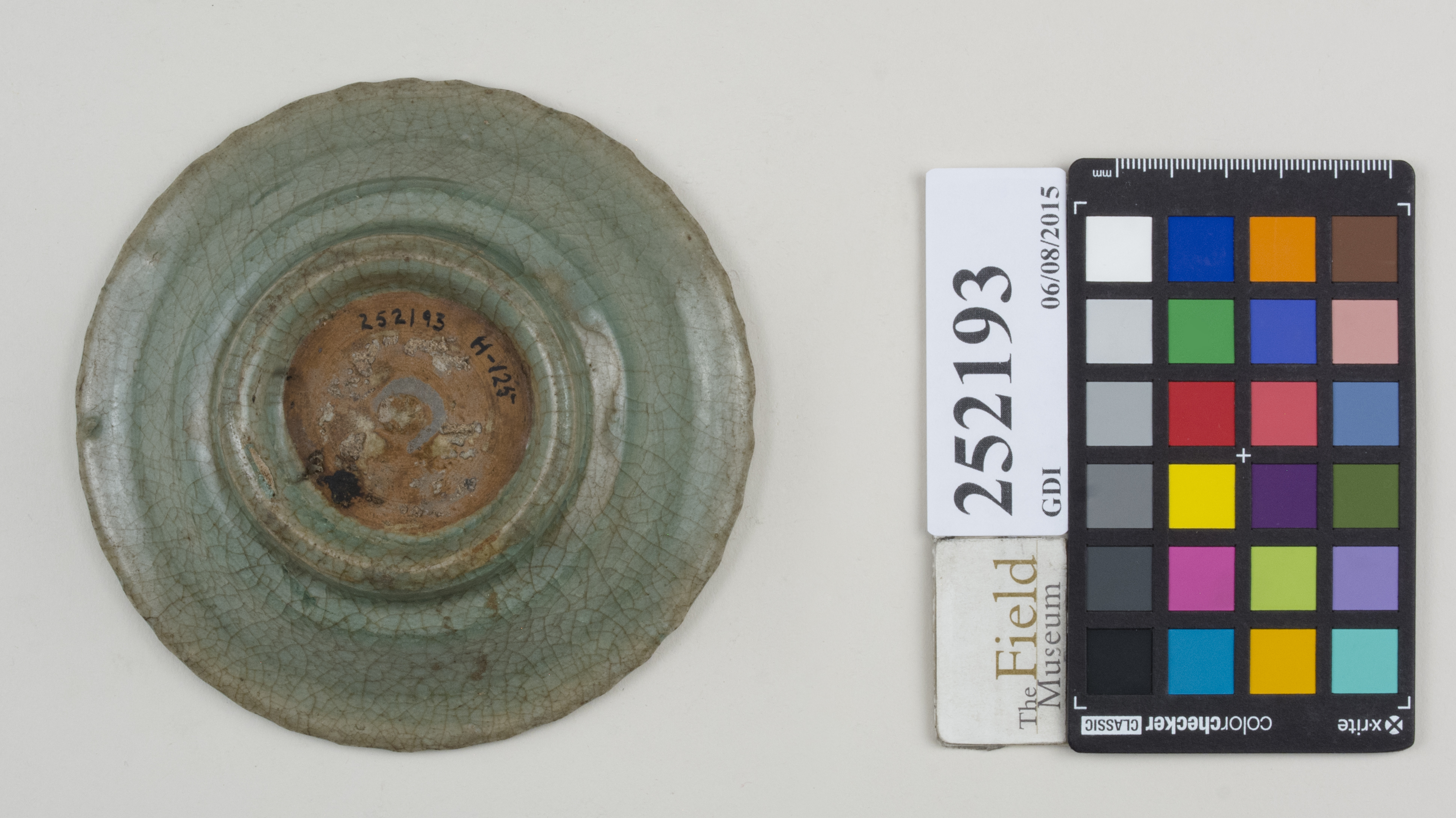 Bottom (c) Field Museum of Natural History - CC BY-NC 4.0