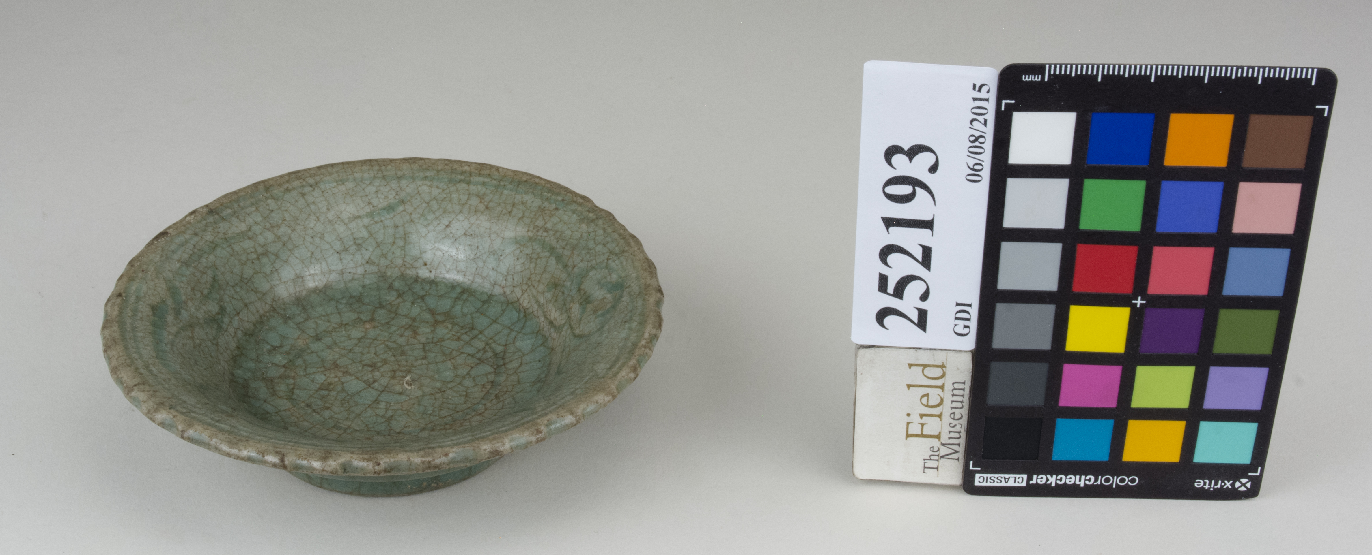 FrontAngle (c) Field Museum of Natural History - CC BY-NC 4.0