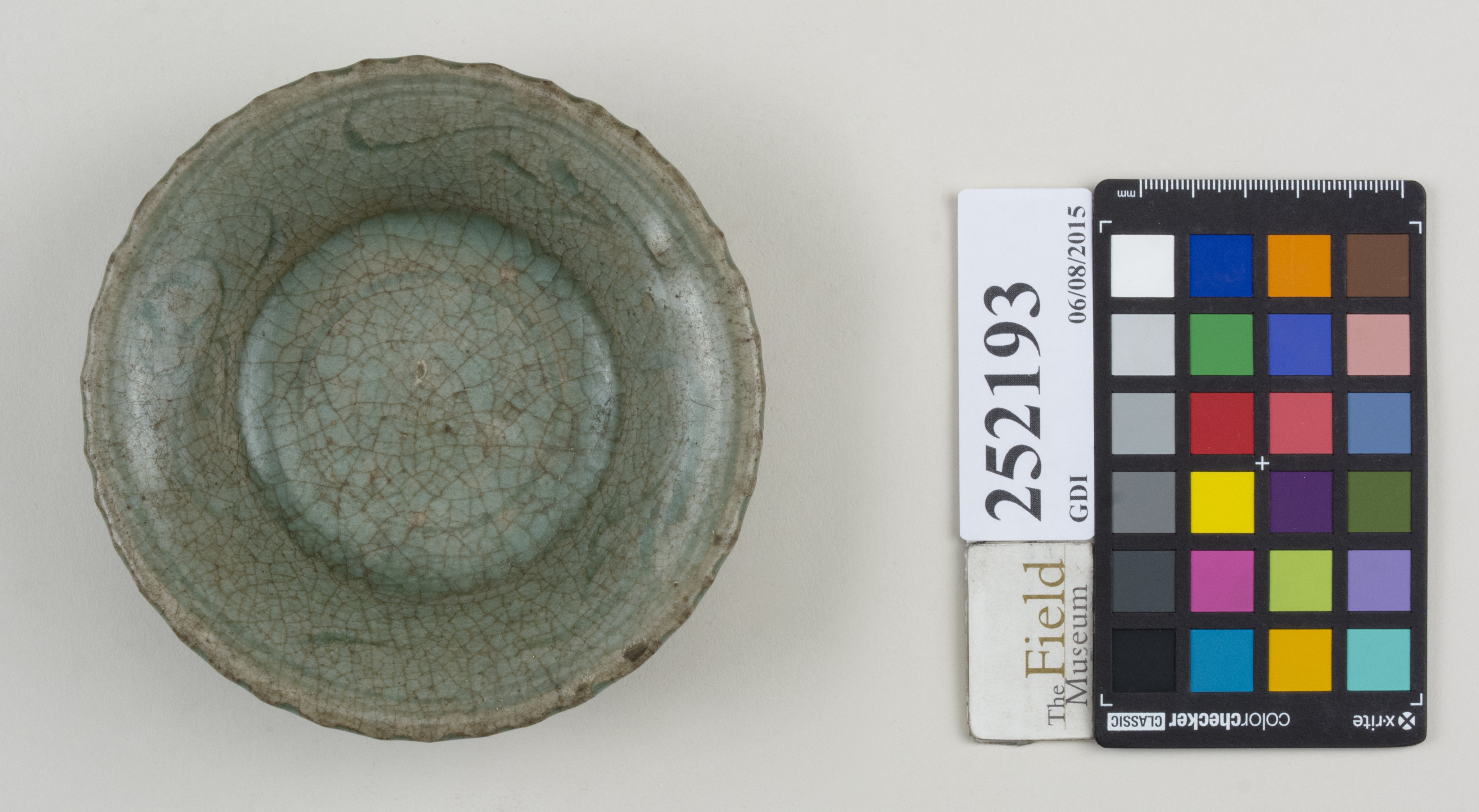 Top (c) Field Museum of Natural History - CC BY-NC 4.0