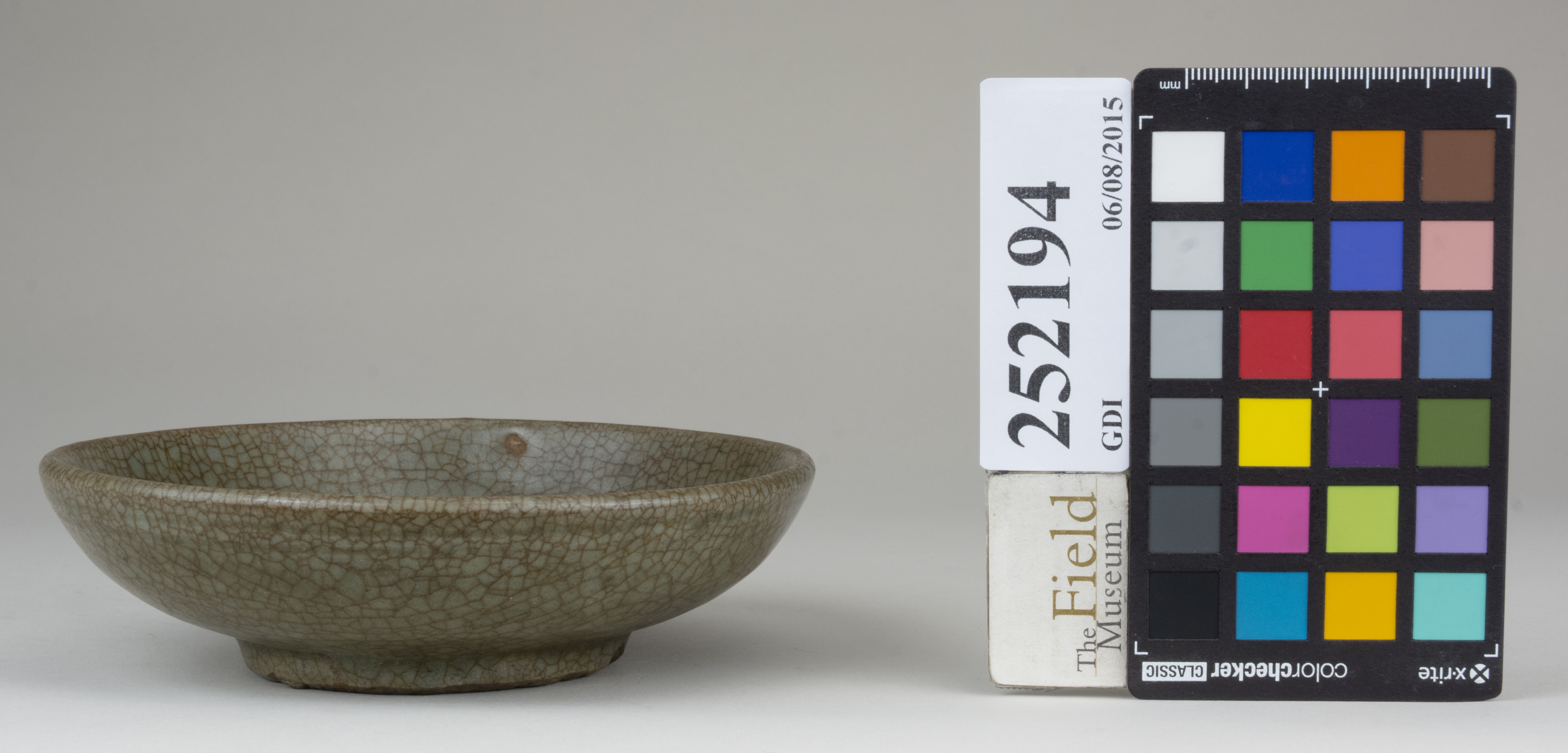 reference image, back (c) Field Museum of Natural History - CC BY-NC 4.0