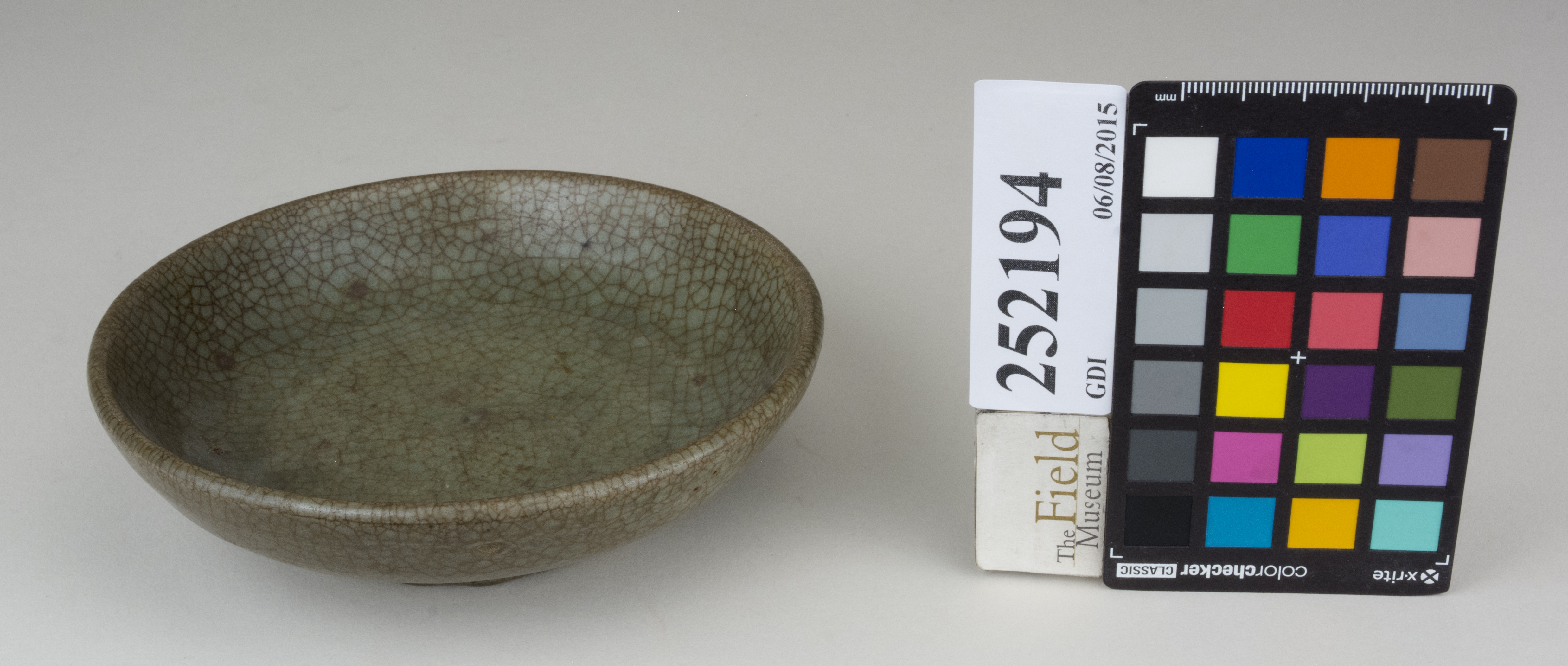 FrontAngle (c) Field Museum of Natural History - CC BY-NC 4.0