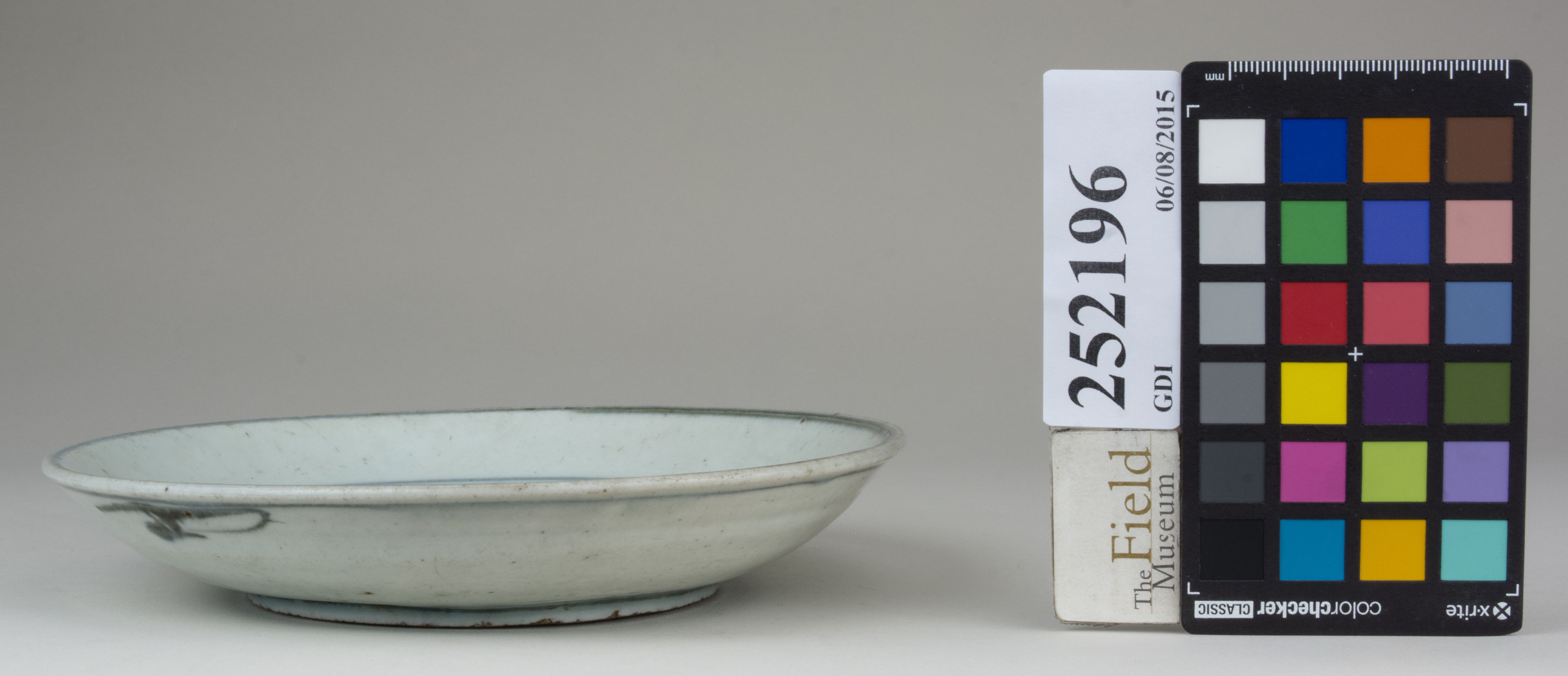 reference image, back (c) Field Museum of Natural History - CC BY-NC 4.0