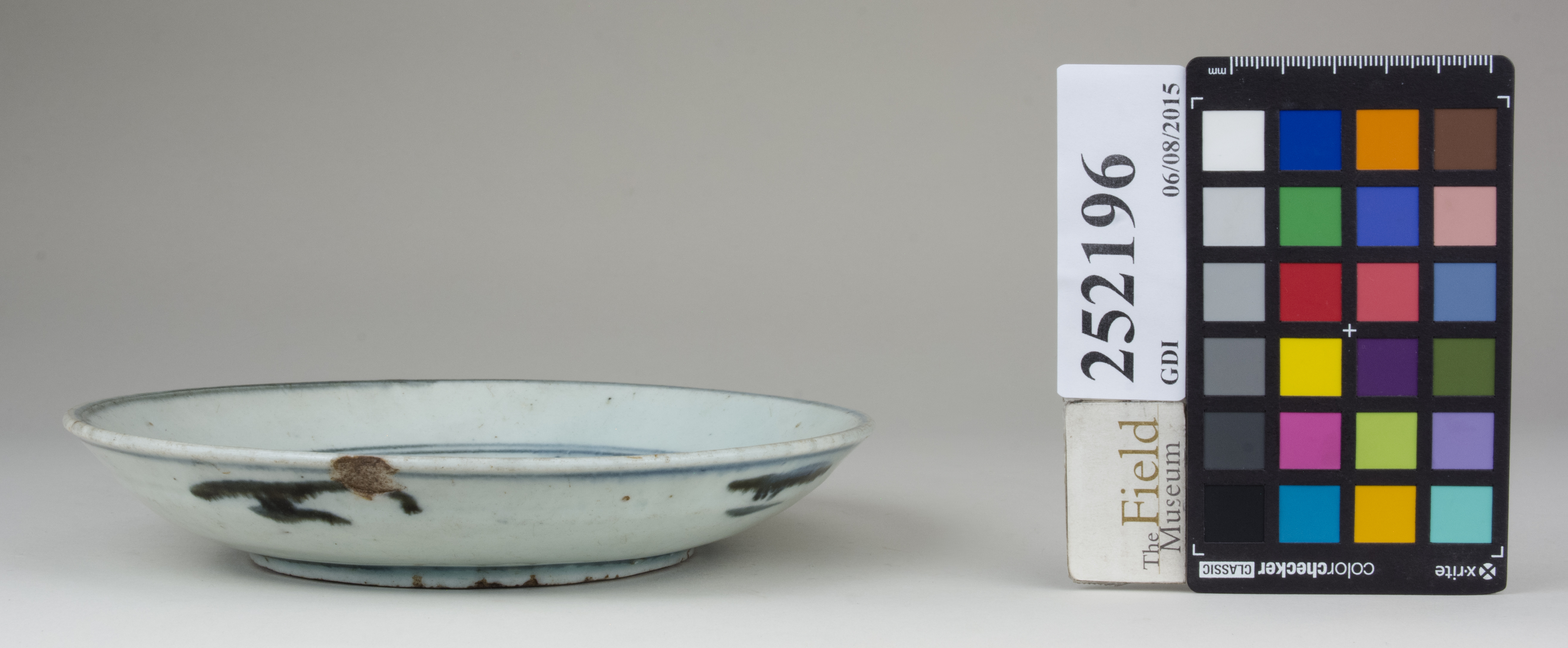 Front (c) Field Museum of Natural History - CC BY-NC 4.0