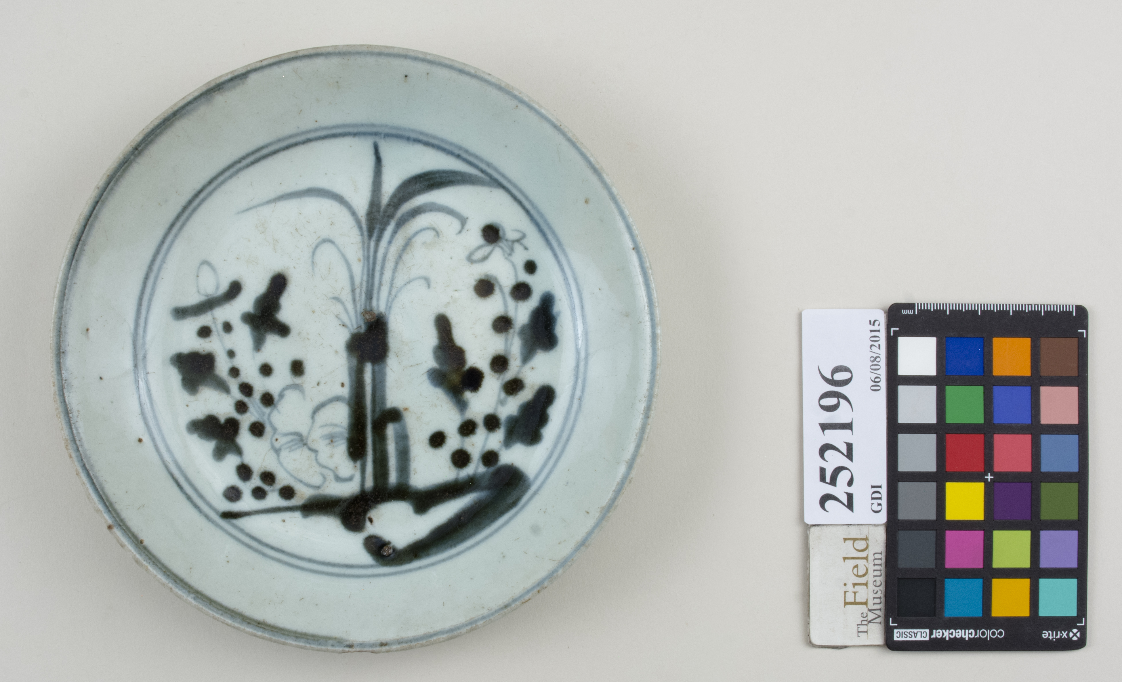 Top (c) Field Museum of Natural History - CC BY-NC 4.0