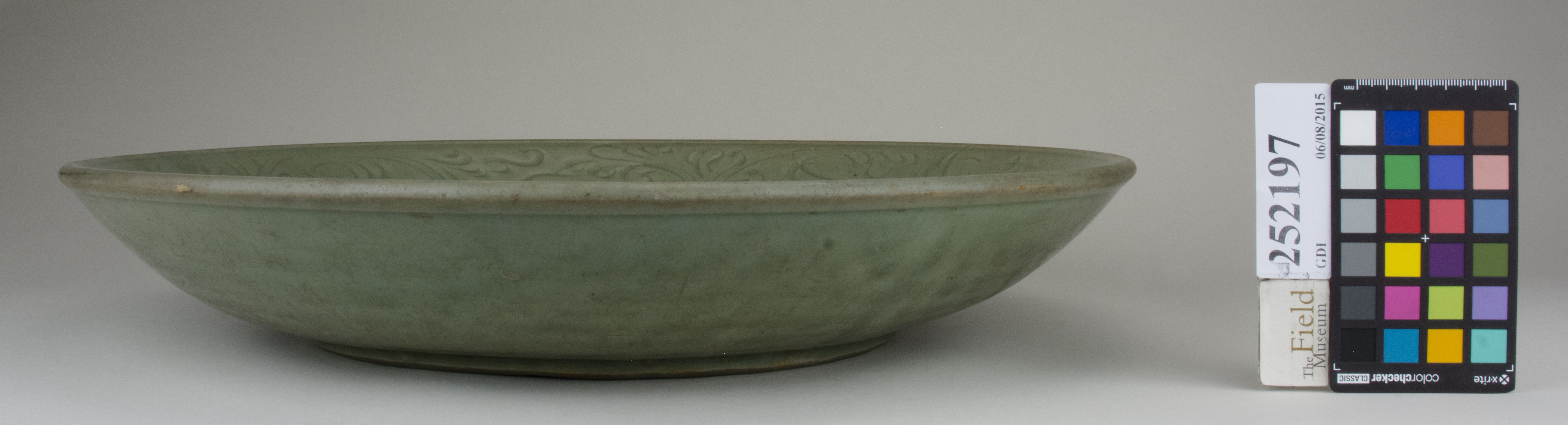 reference image, back (c) Field Museum of Natural History - CC BY-NC 4.0