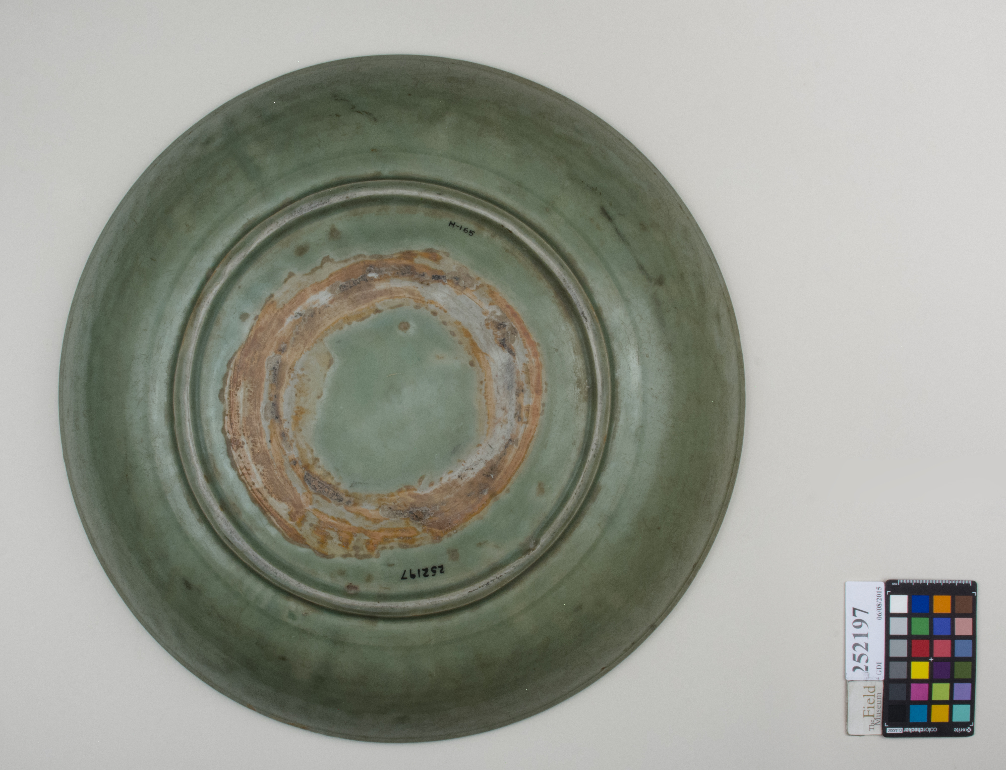 Bottom (c) Field Museum of Natural History - CC BY-NC 4.0