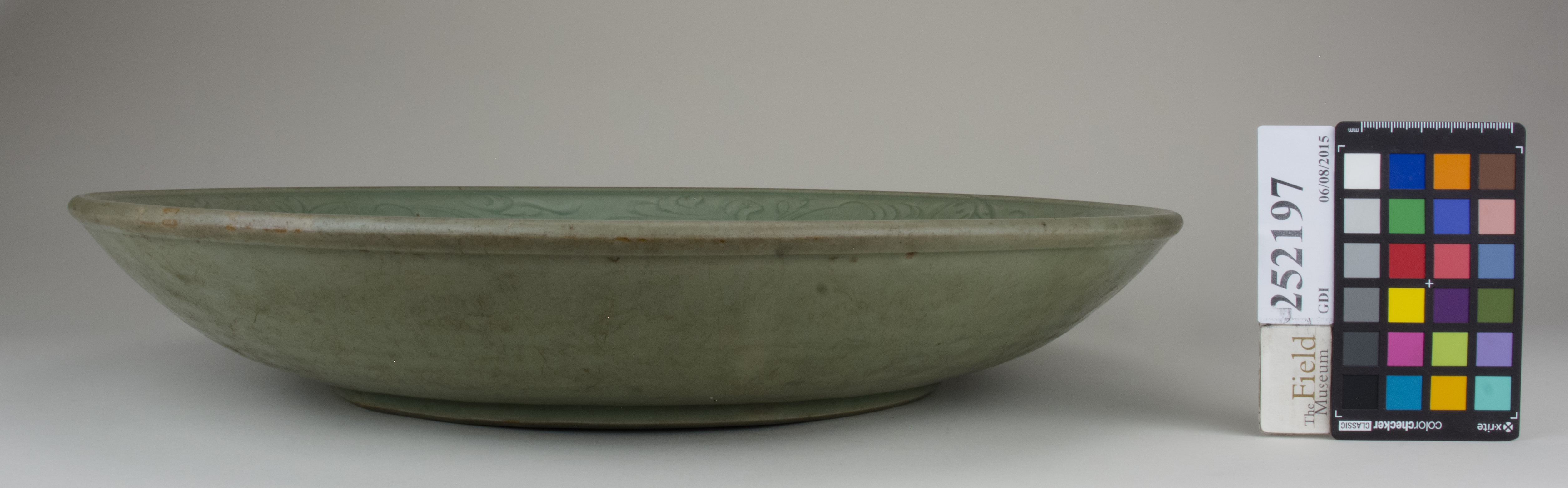 Front (c) Field Museum of Natural History - CC BY-NC 4.0