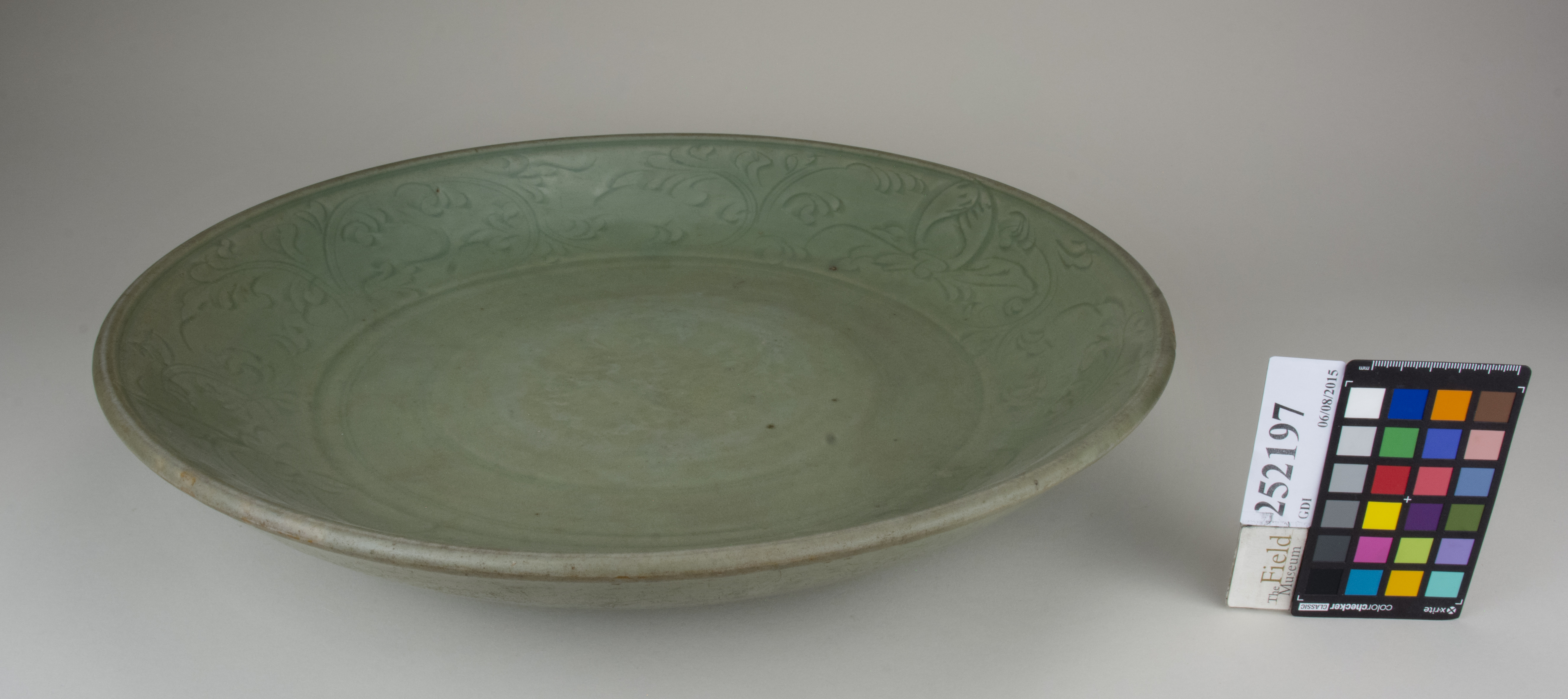 FrontAngle (c) Field Museum of Natural History - CC BY-NC 4.0