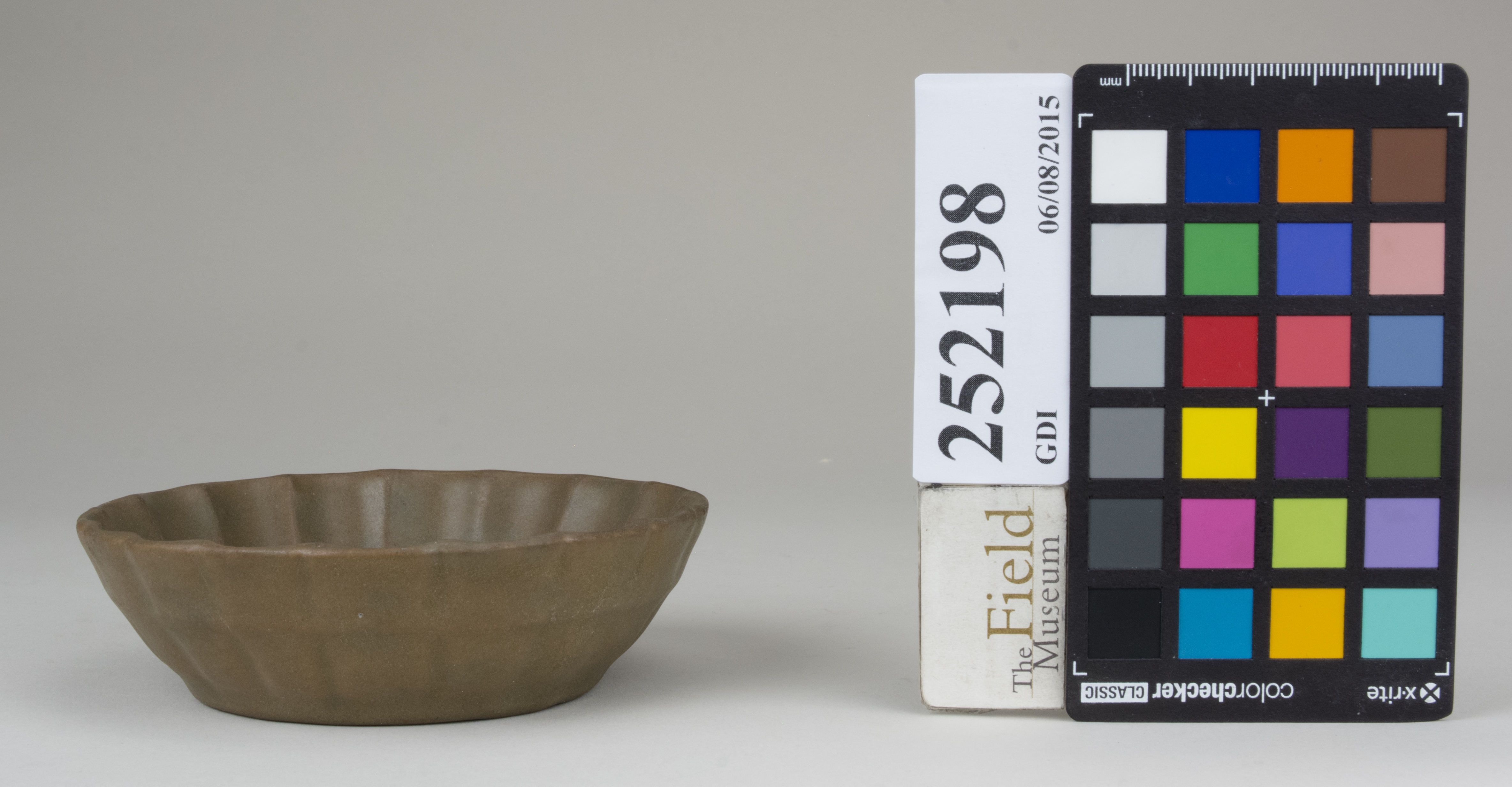 reference image, back (c) Field Museum of Natural History - CC BY-NC 4.0