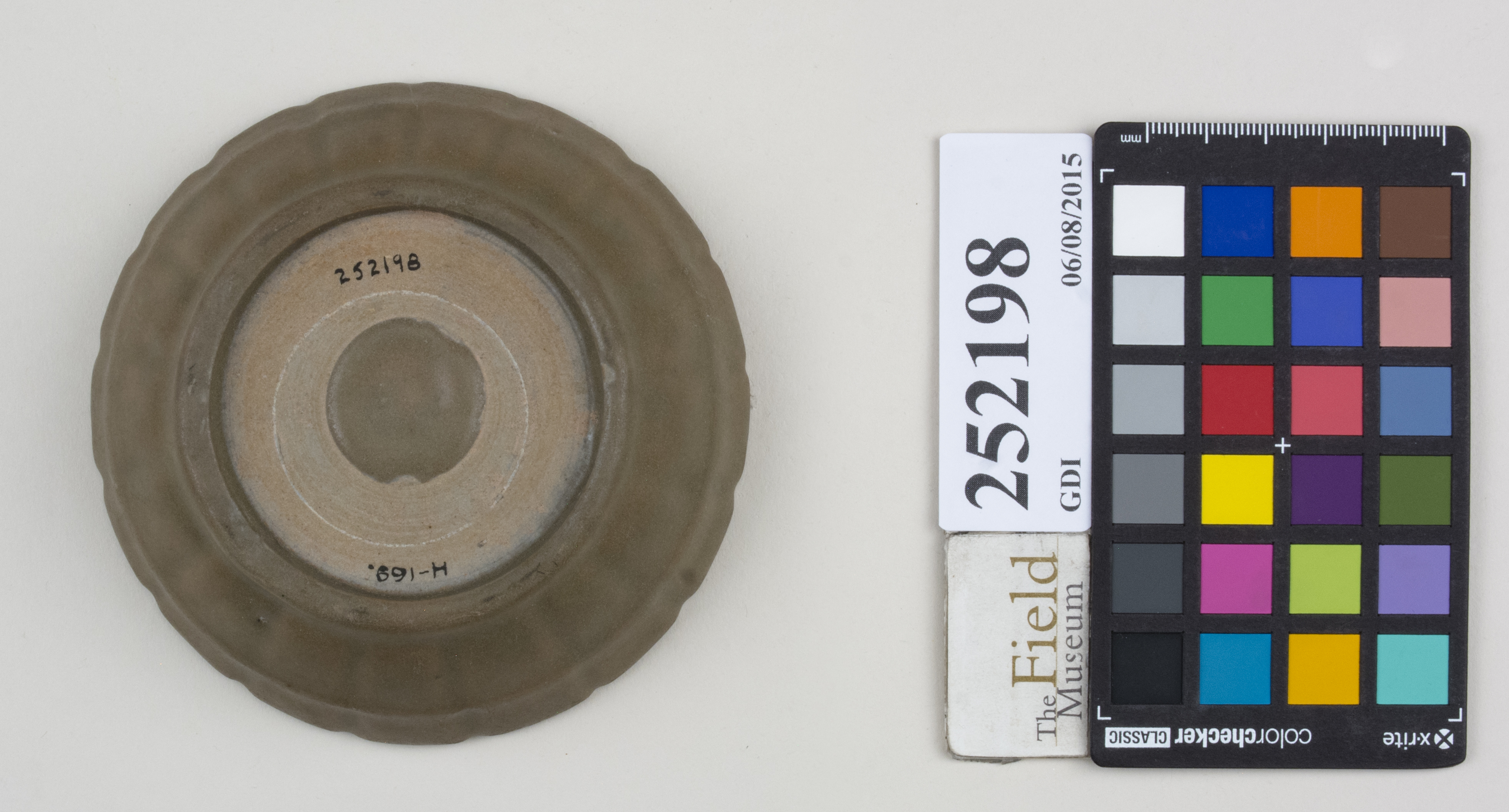 Bottom (c) Field Museum of Natural History - CC BY-NC 4.0