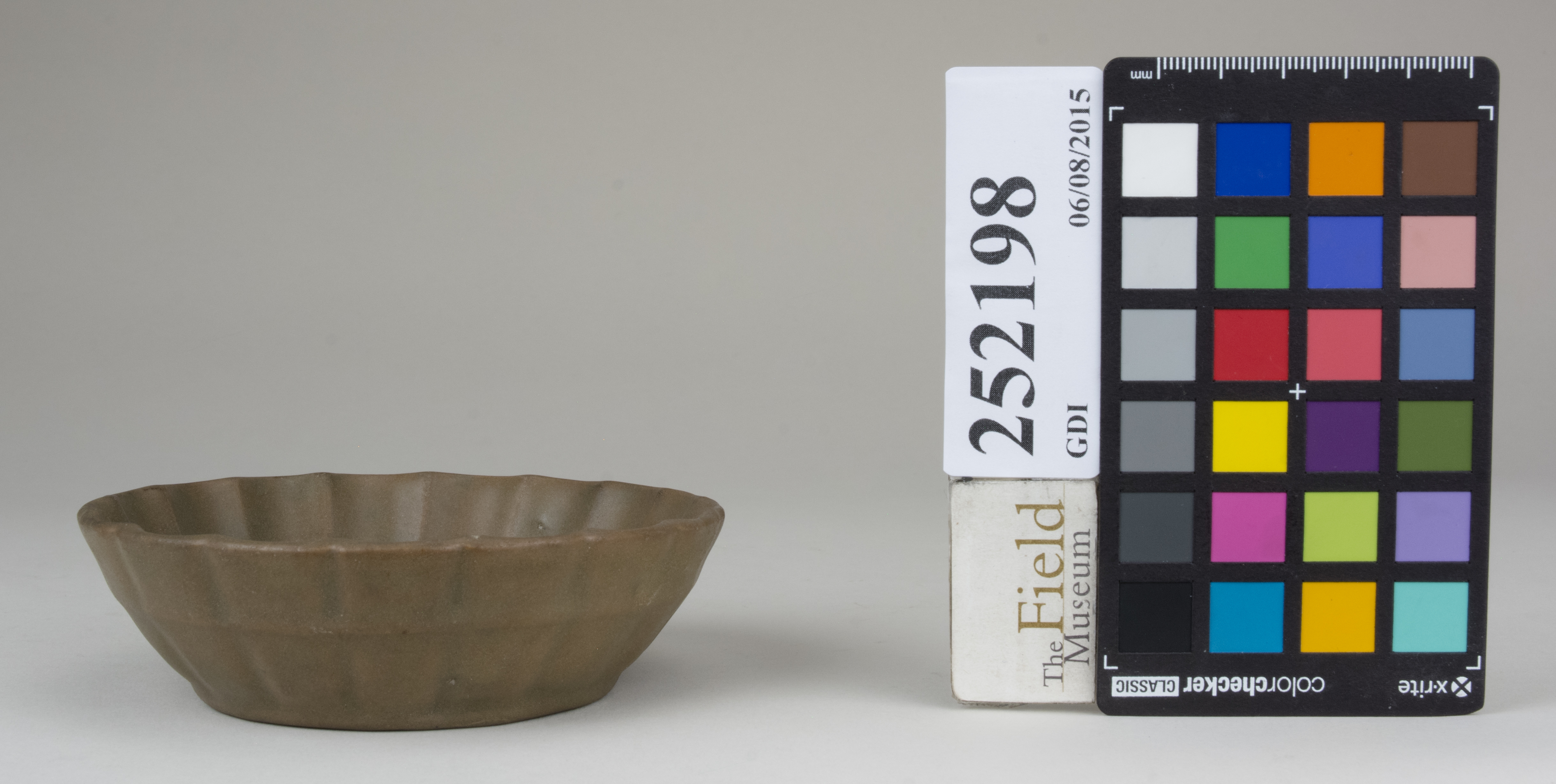 Front (c) Field Museum of Natural History - CC BY-NC 4.0