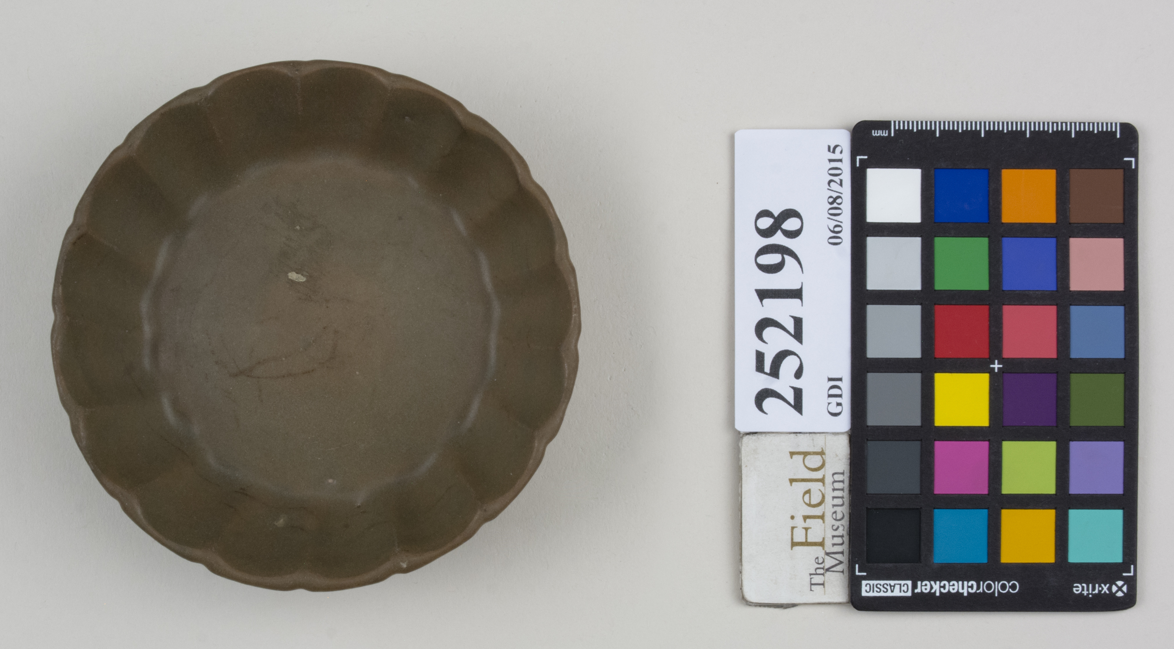 Top (c) Field Museum of Natural History - CC BY-NC 4.0