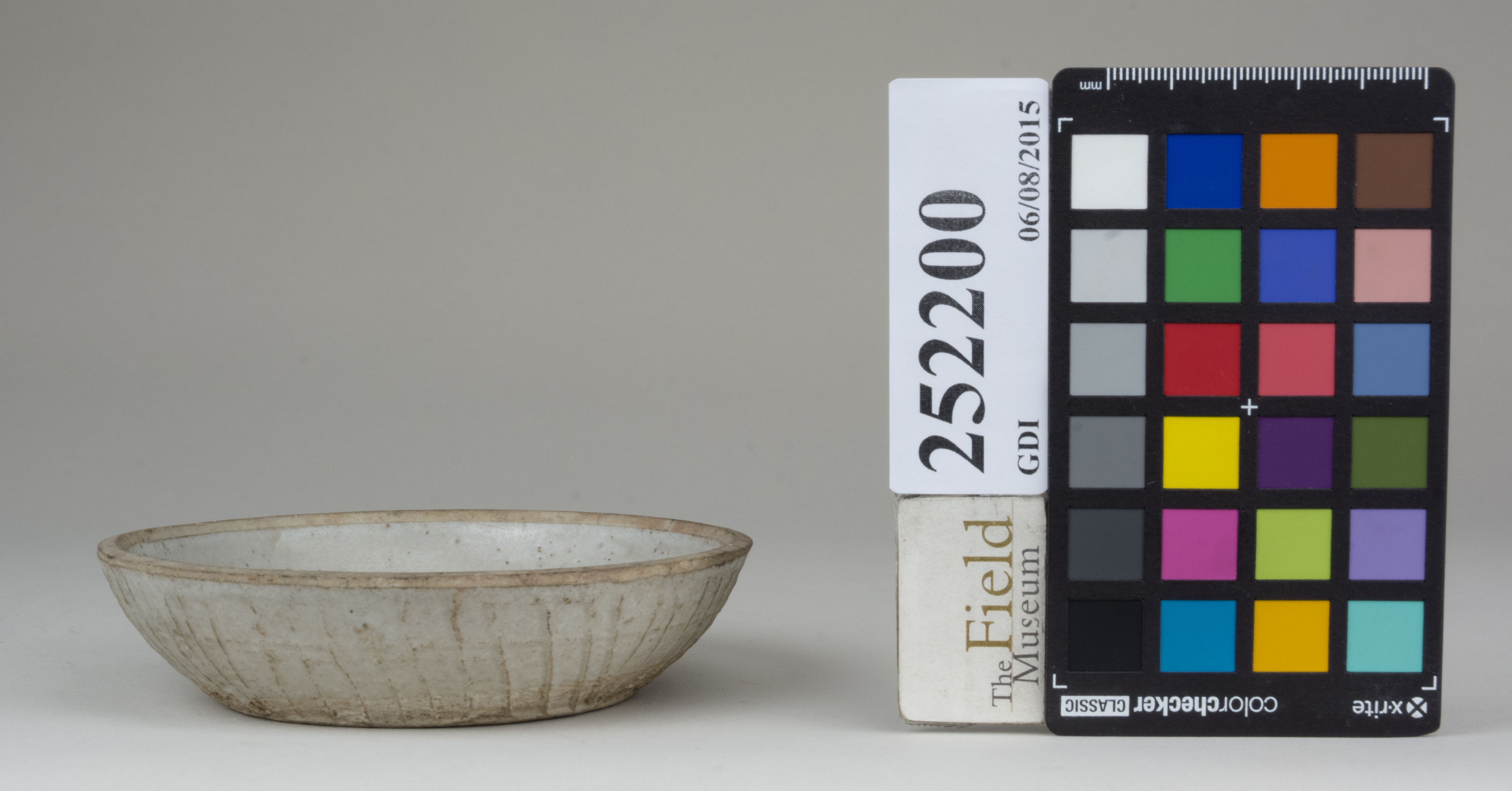 reference image, back (c) Field Museum of Natural History - CC BY-NC 4.0