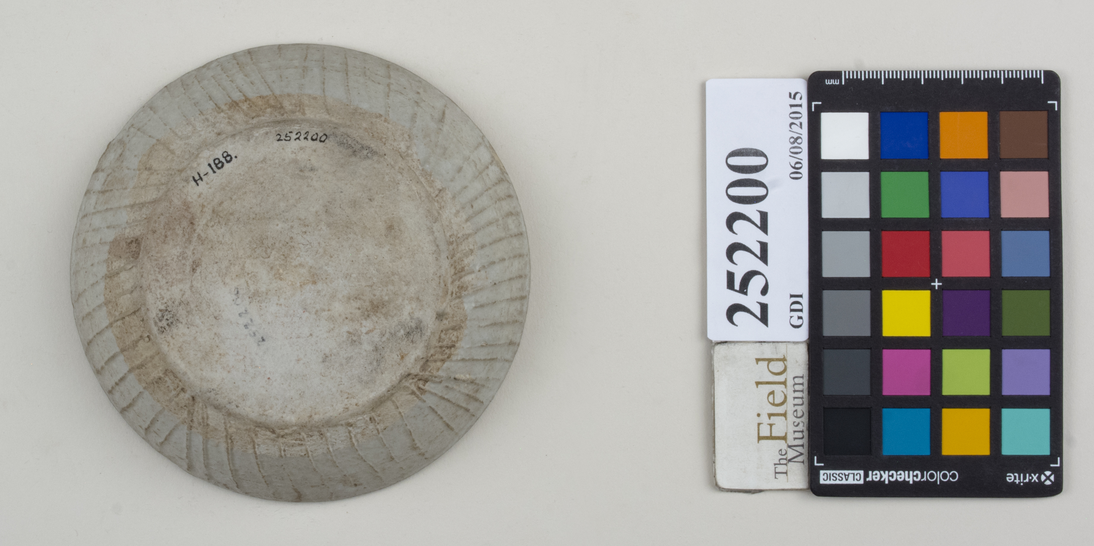 Bottom (c) Field Museum of Natural History - CC BY-NC 4.0