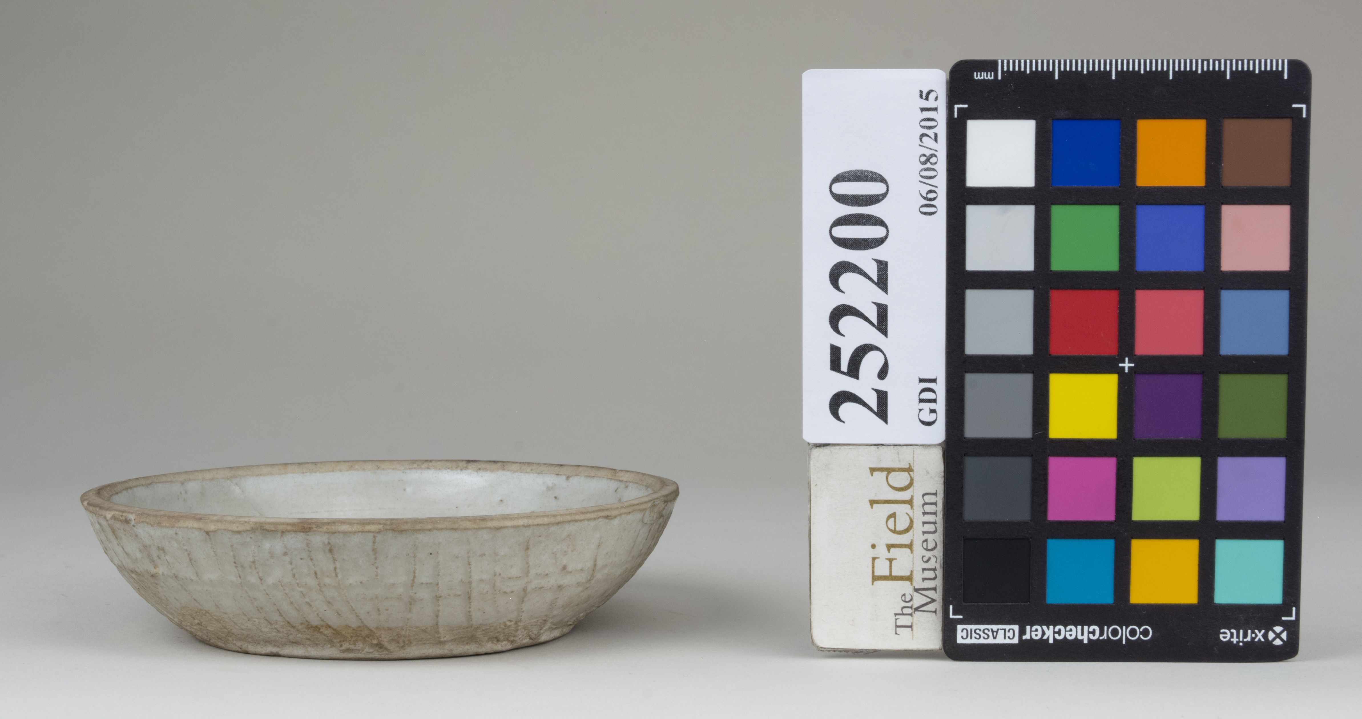 Front (c) Field Museum of Natural History - CC BY-NC 4.0