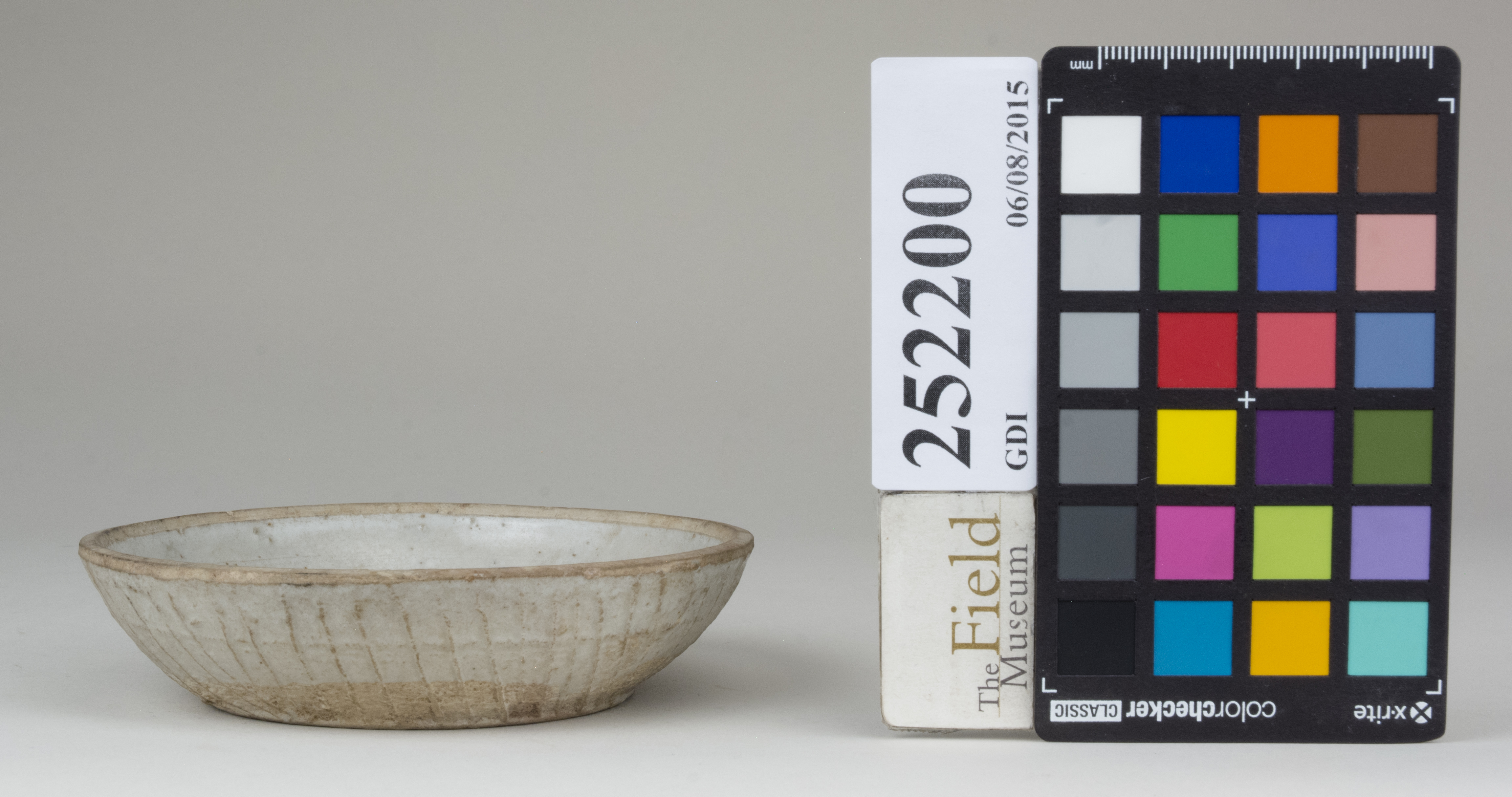 Right (c) Field Museum of Natural History - CC BY-NC 4.0