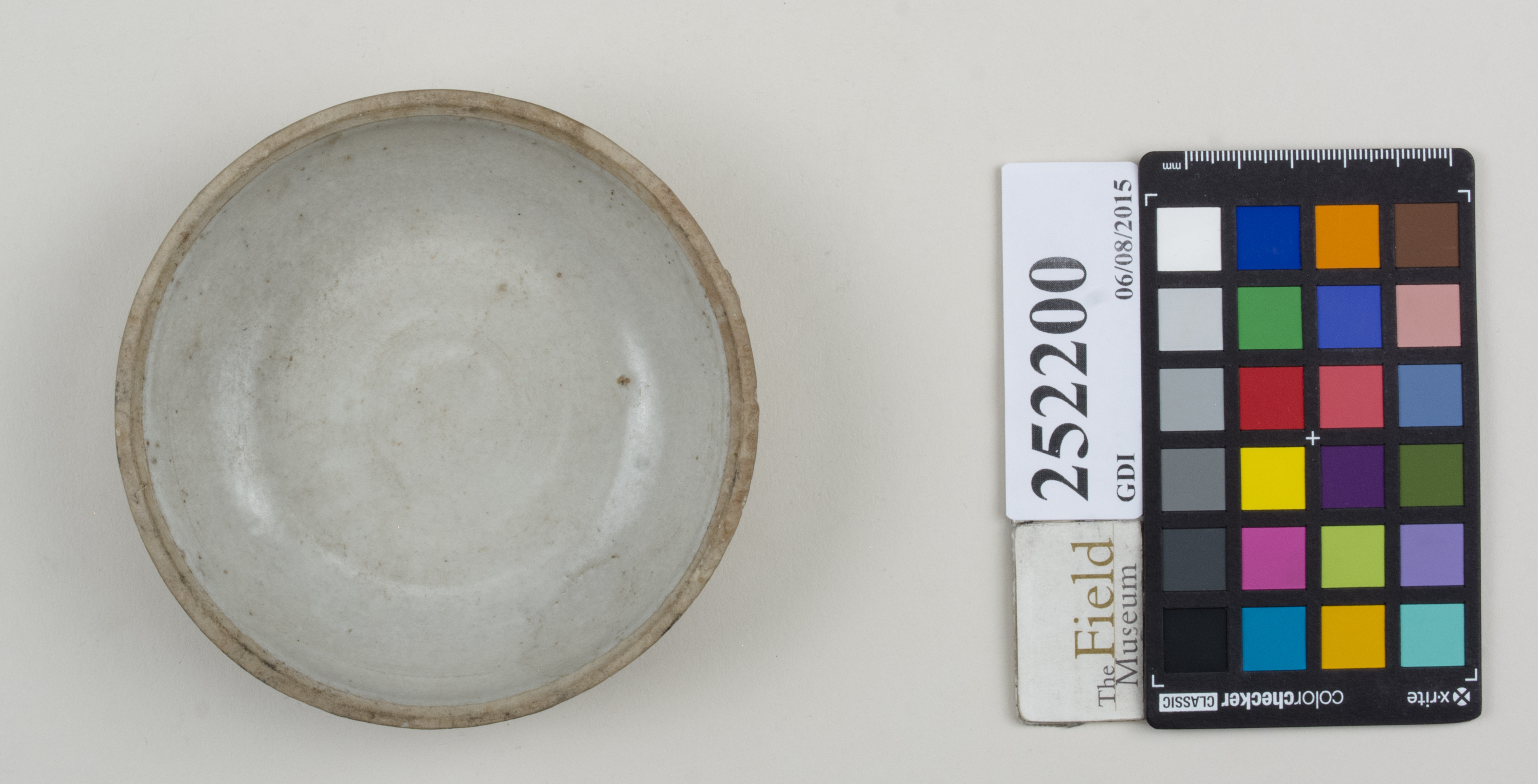 Top (c) Field Museum of Natural History - CC BY-NC 4.0