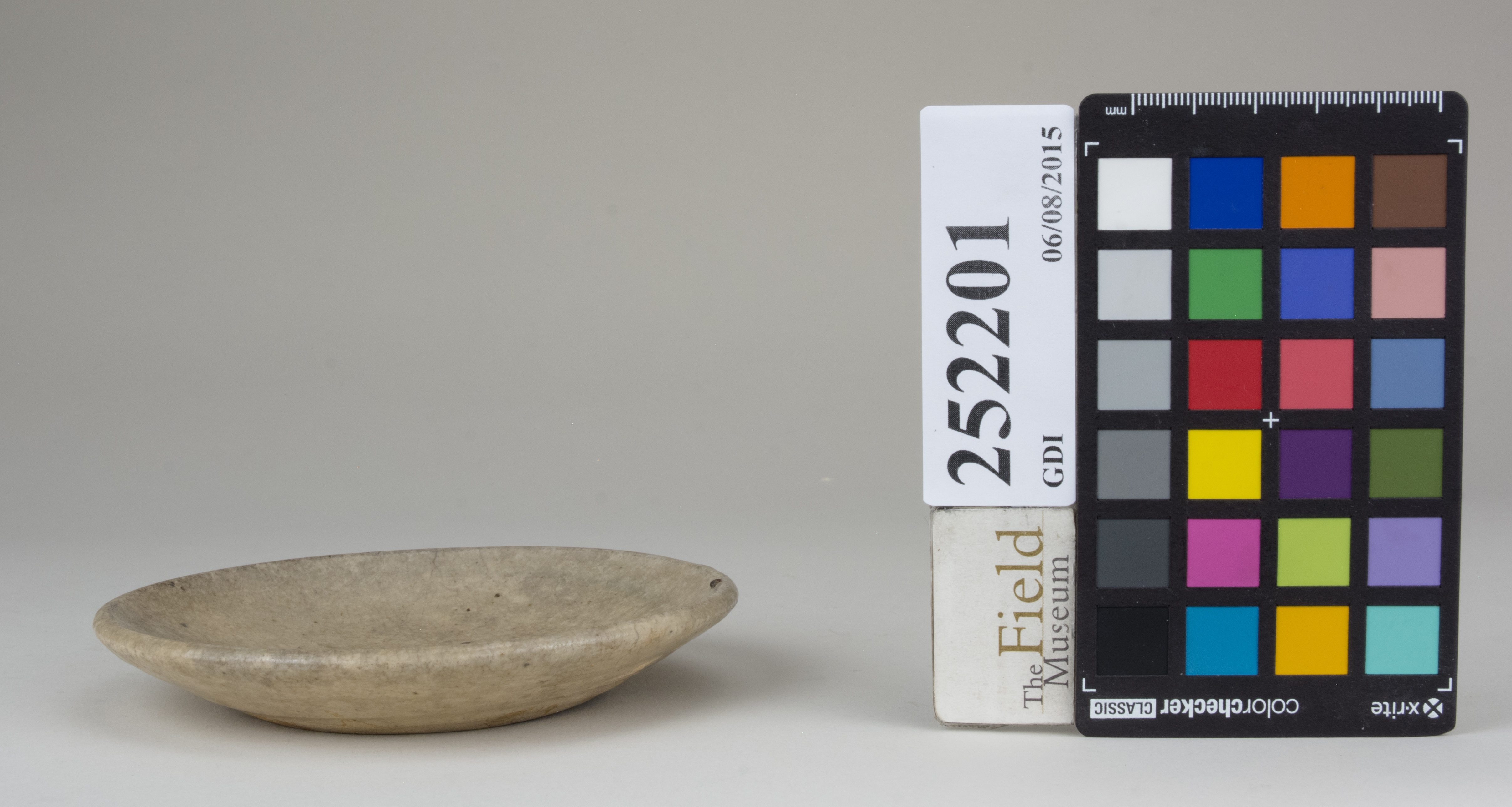 reference image, back (c) Field Museum of Natural History - CC BY-NC 4.0