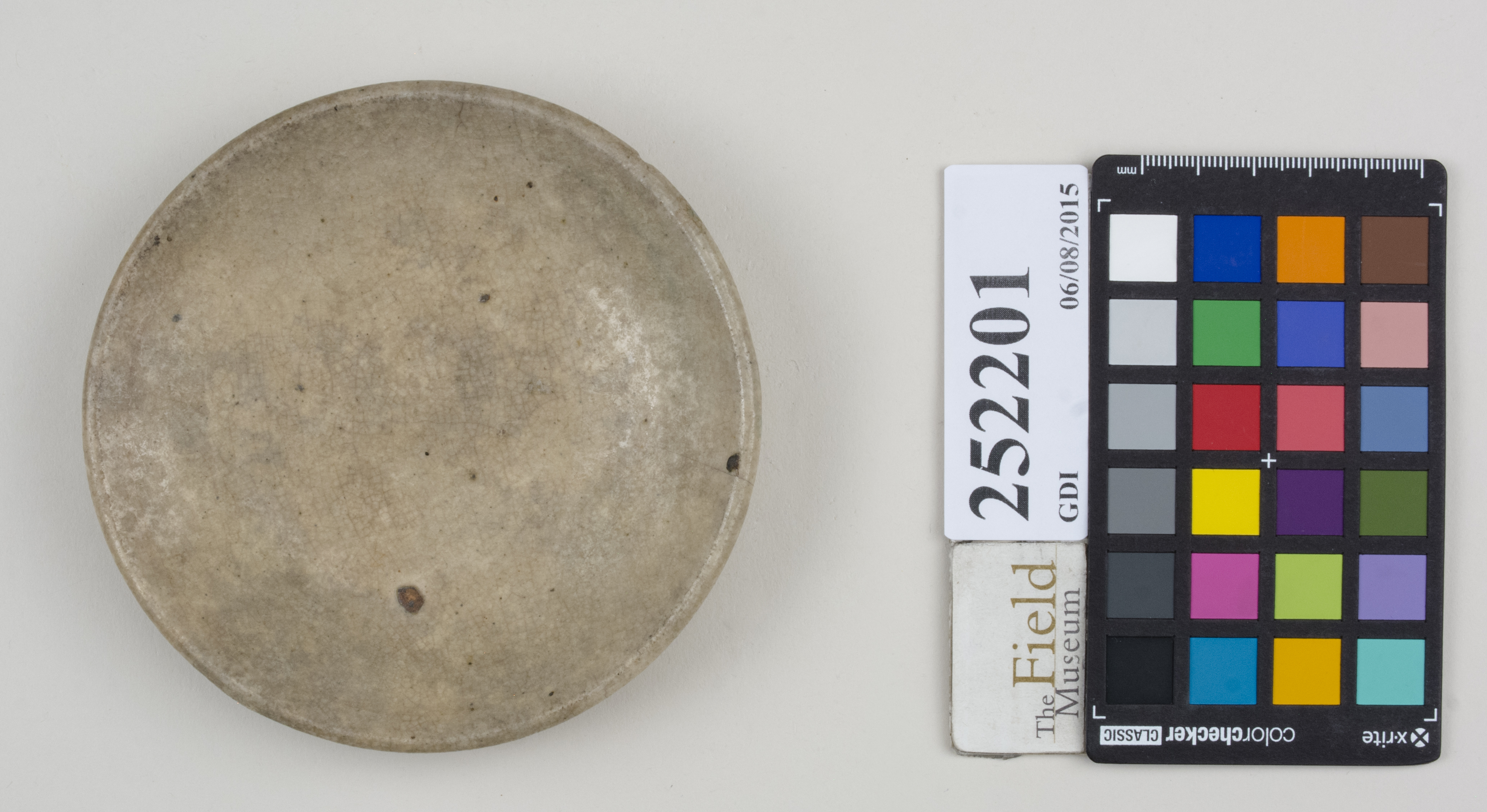 Top (c) Field Museum of Natural History - CC BY-NC 4.0