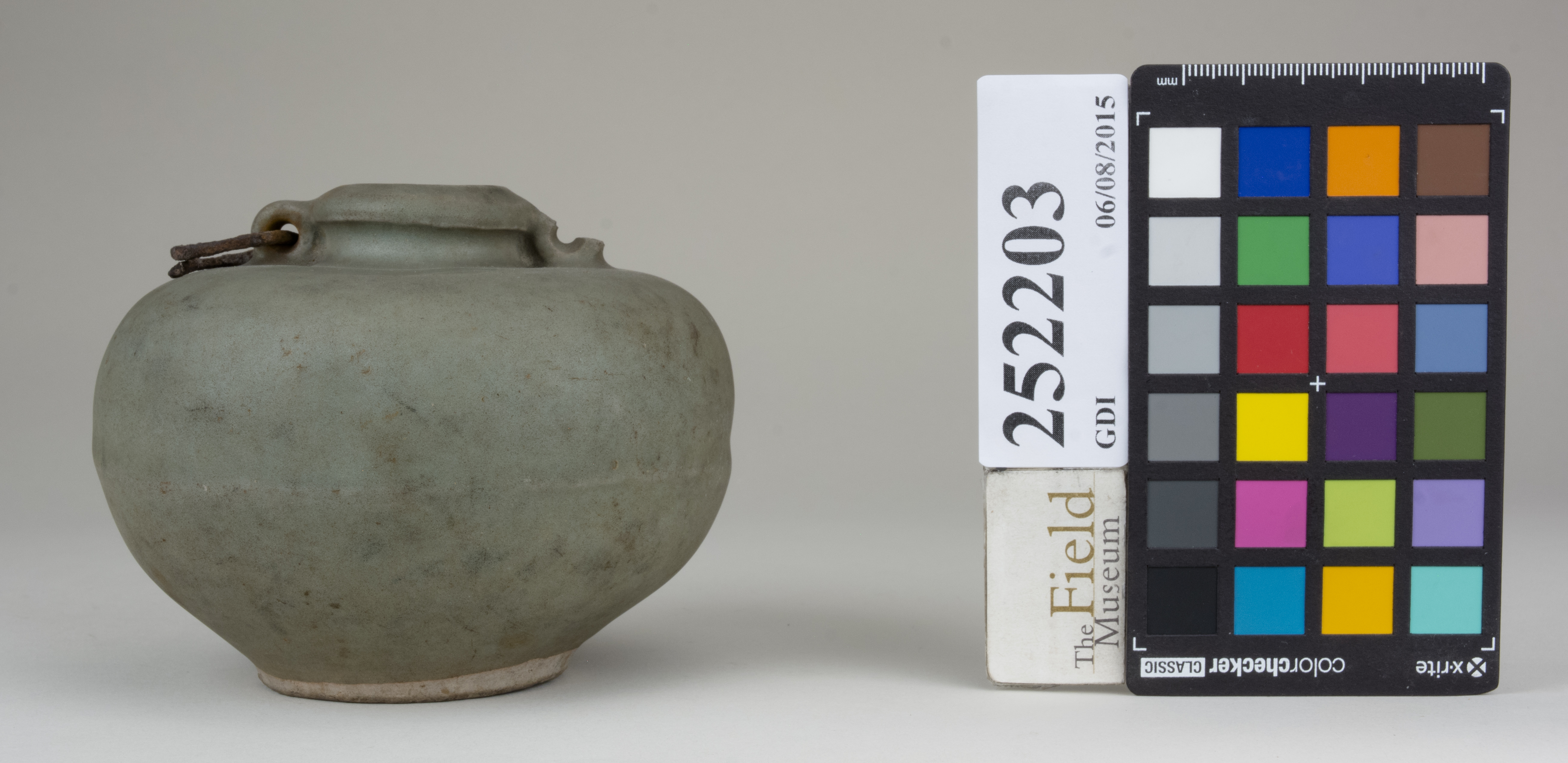 reference image, back (c) Field Museum of Natural History - CC BY-NC 4.0