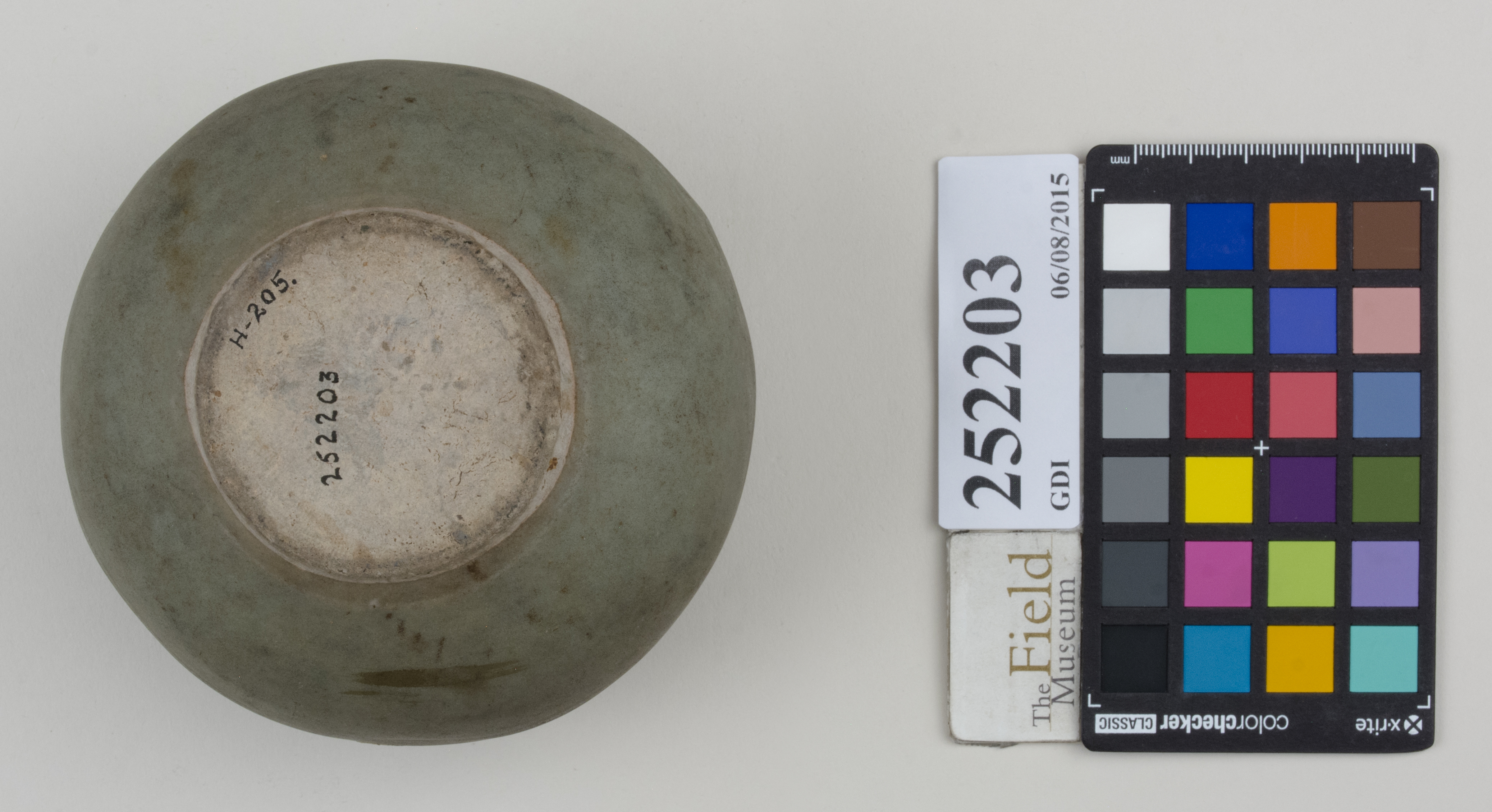 Bottom (c) Field Museum of Natural History - CC BY-NC 4.0