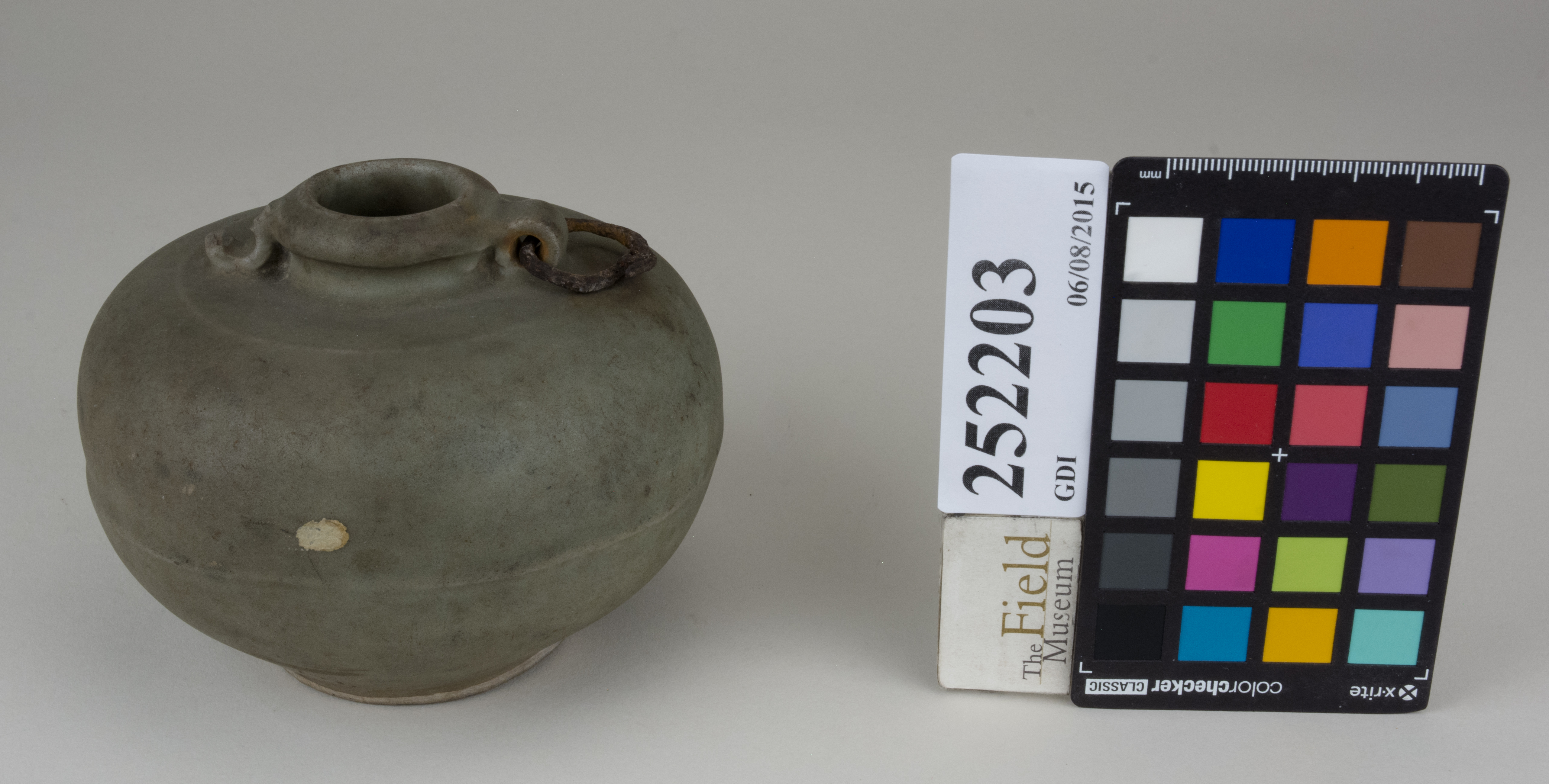 FrontAngle (c) Field Museum of Natural History - CC BY-NC 4.0