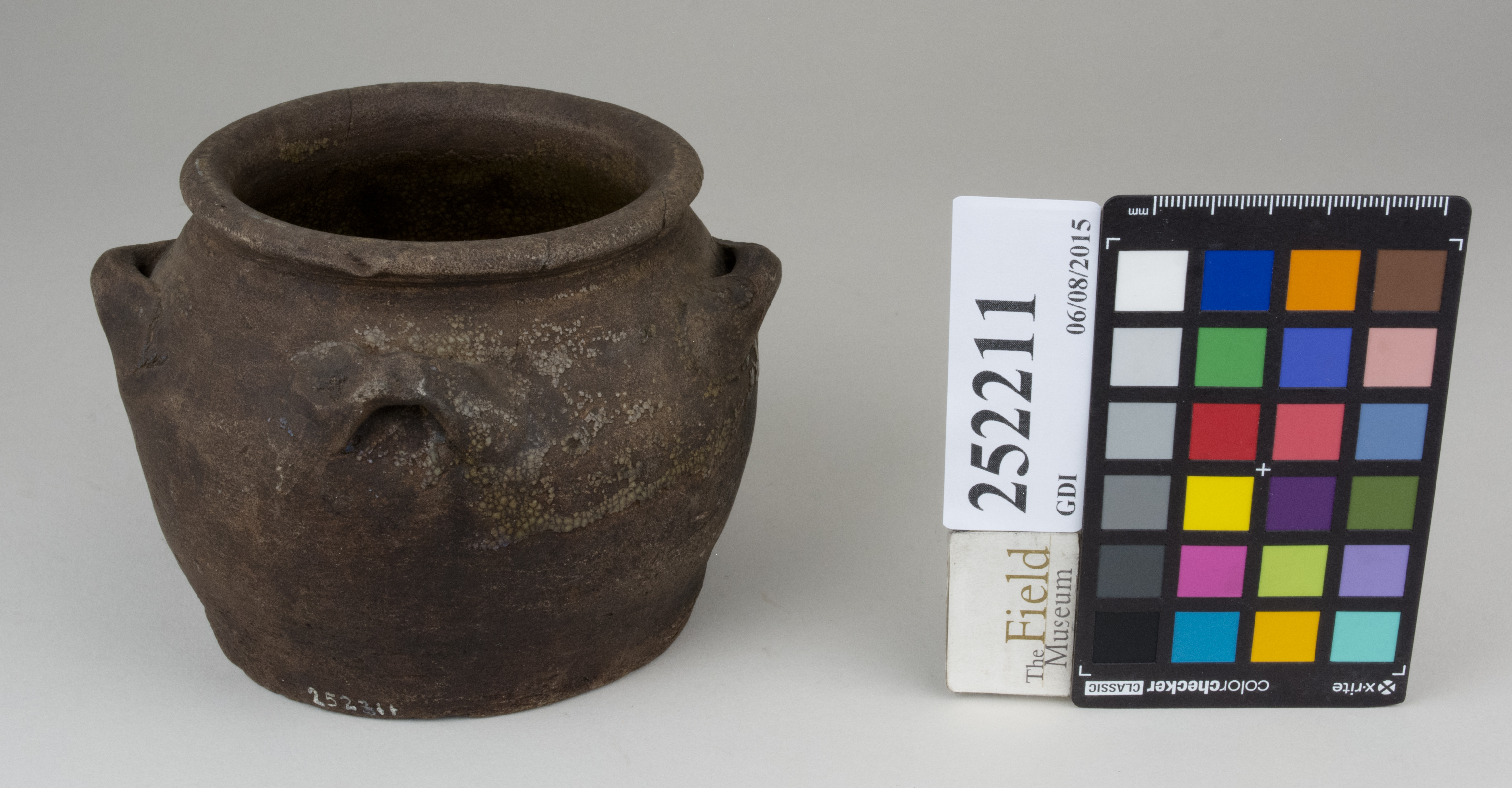 FrontAngle (c) Field Museum of Natural History - CC BY-NC 4.0