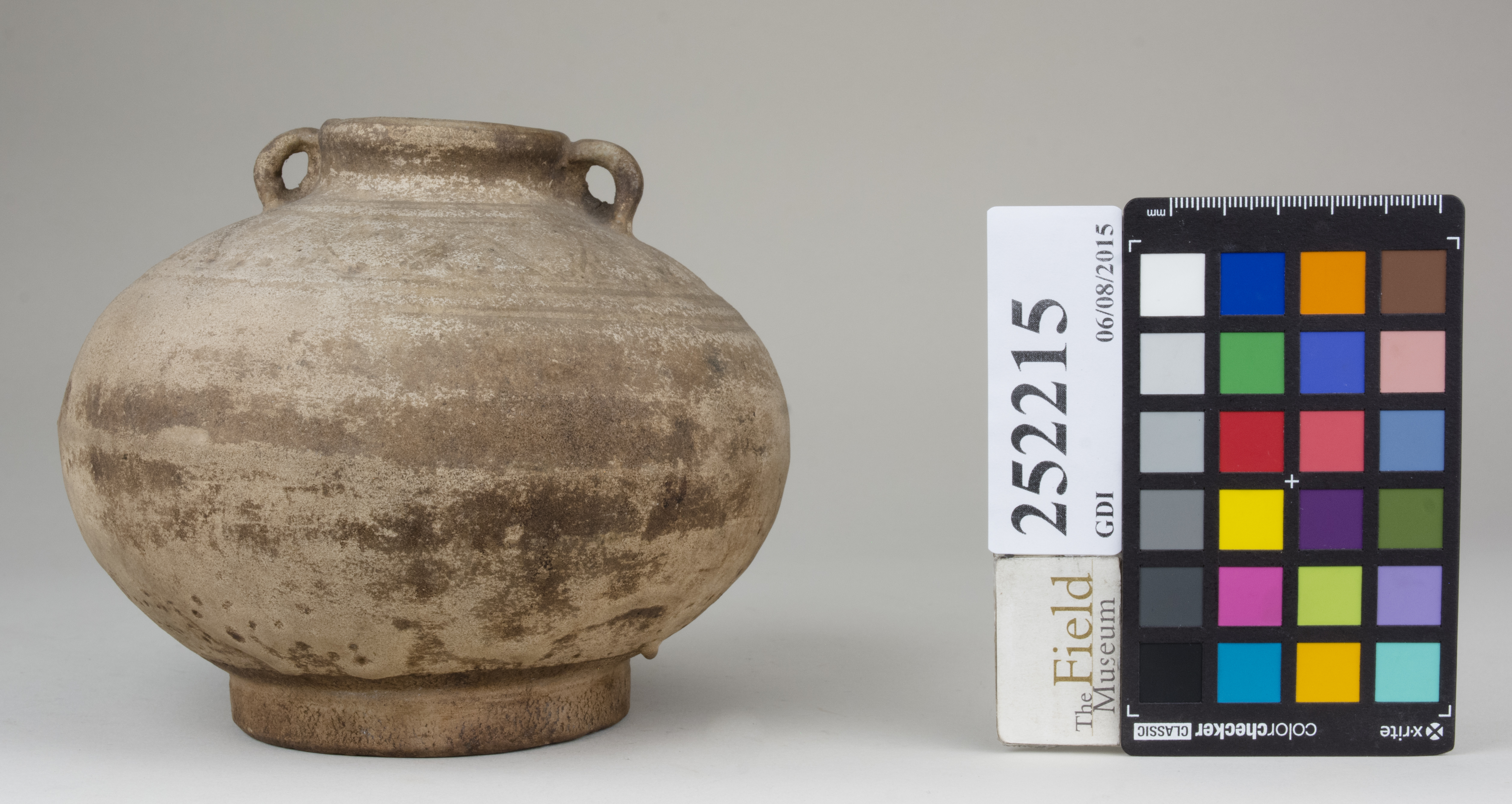 reference image, back (c) Field Museum of Natural History - CC BY-NC 4.0