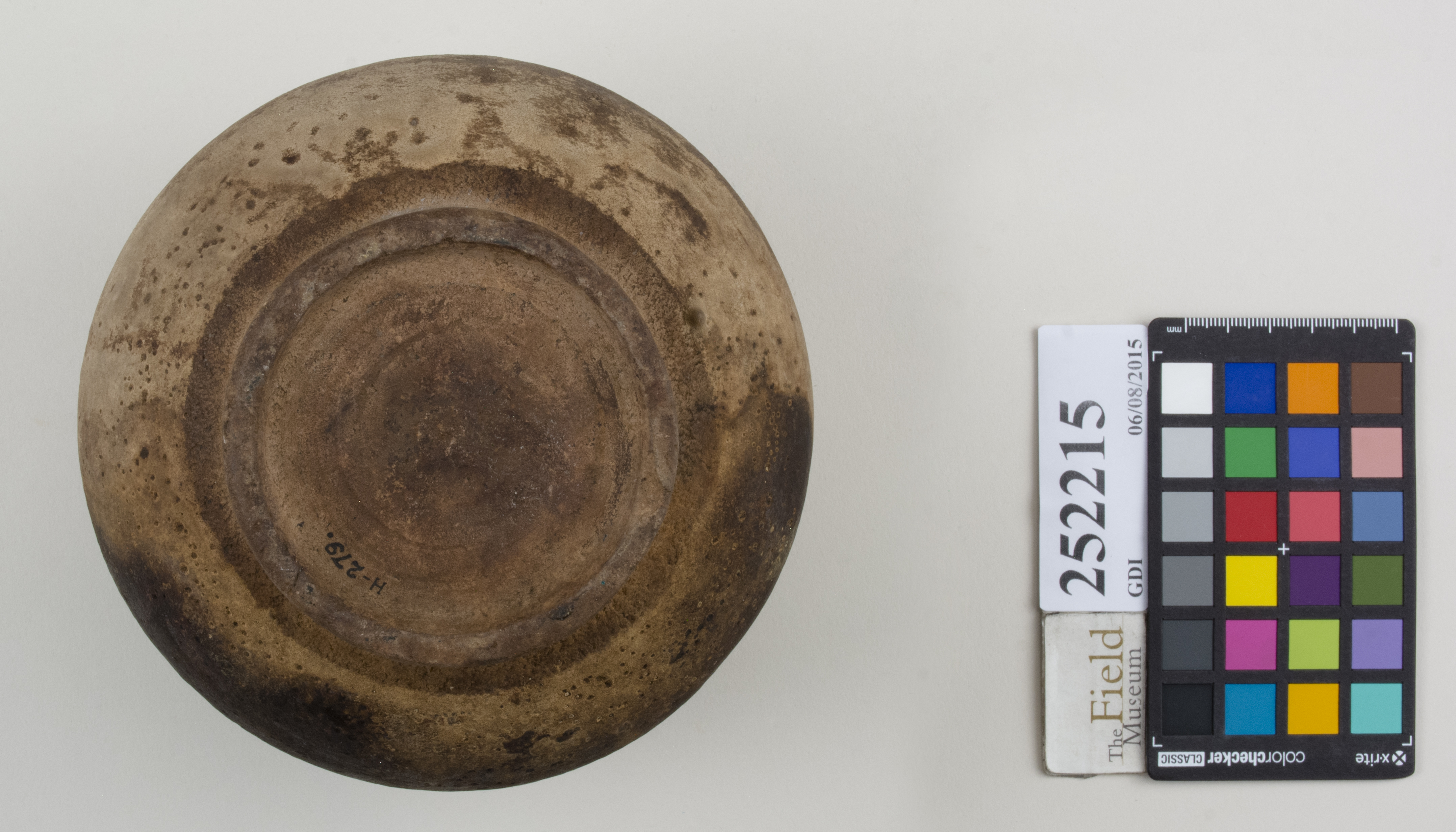 Bottom (c) Field Museum of Natural History - CC BY-NC 4.0