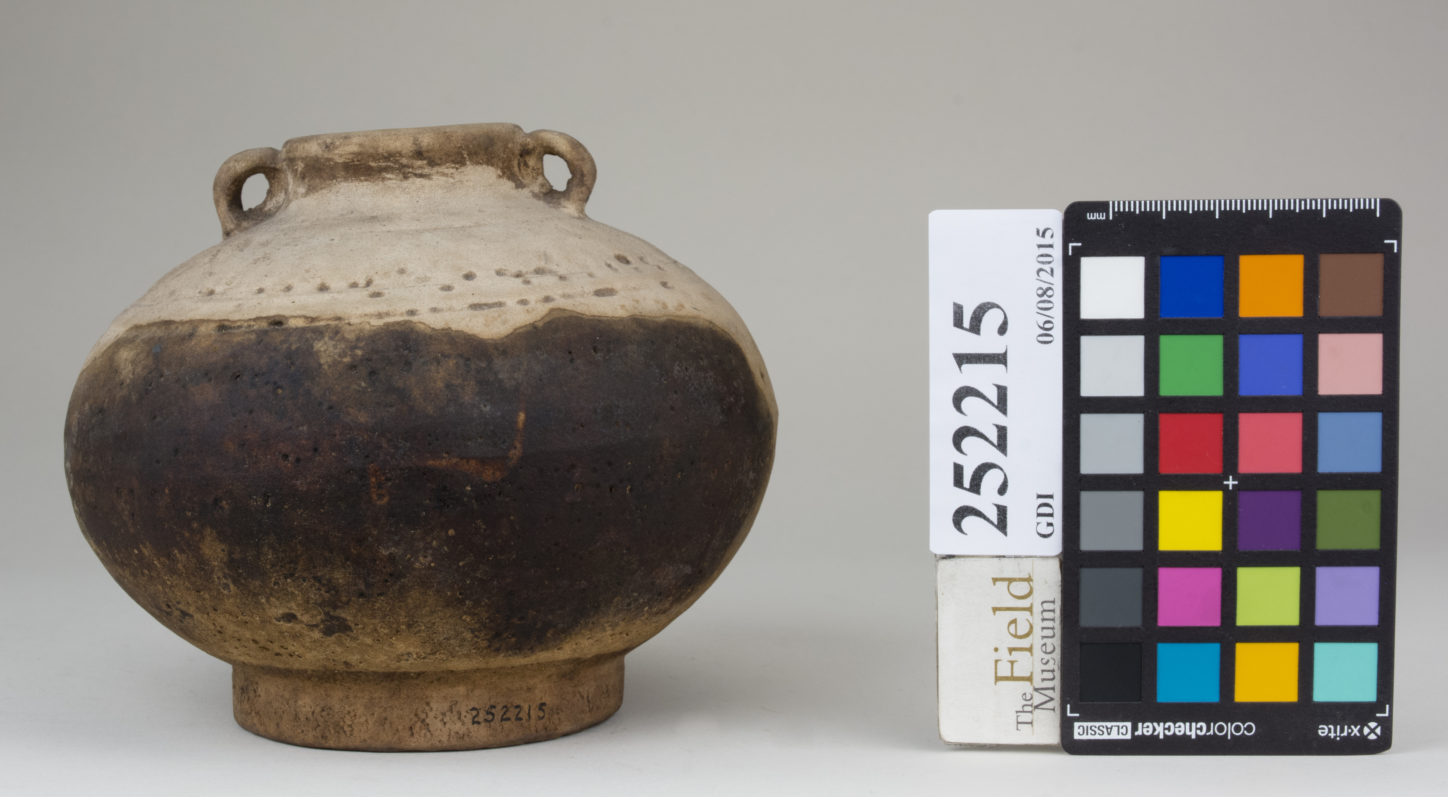 Front (c) Field Museum of Natural History - CC BY-NC 4.0