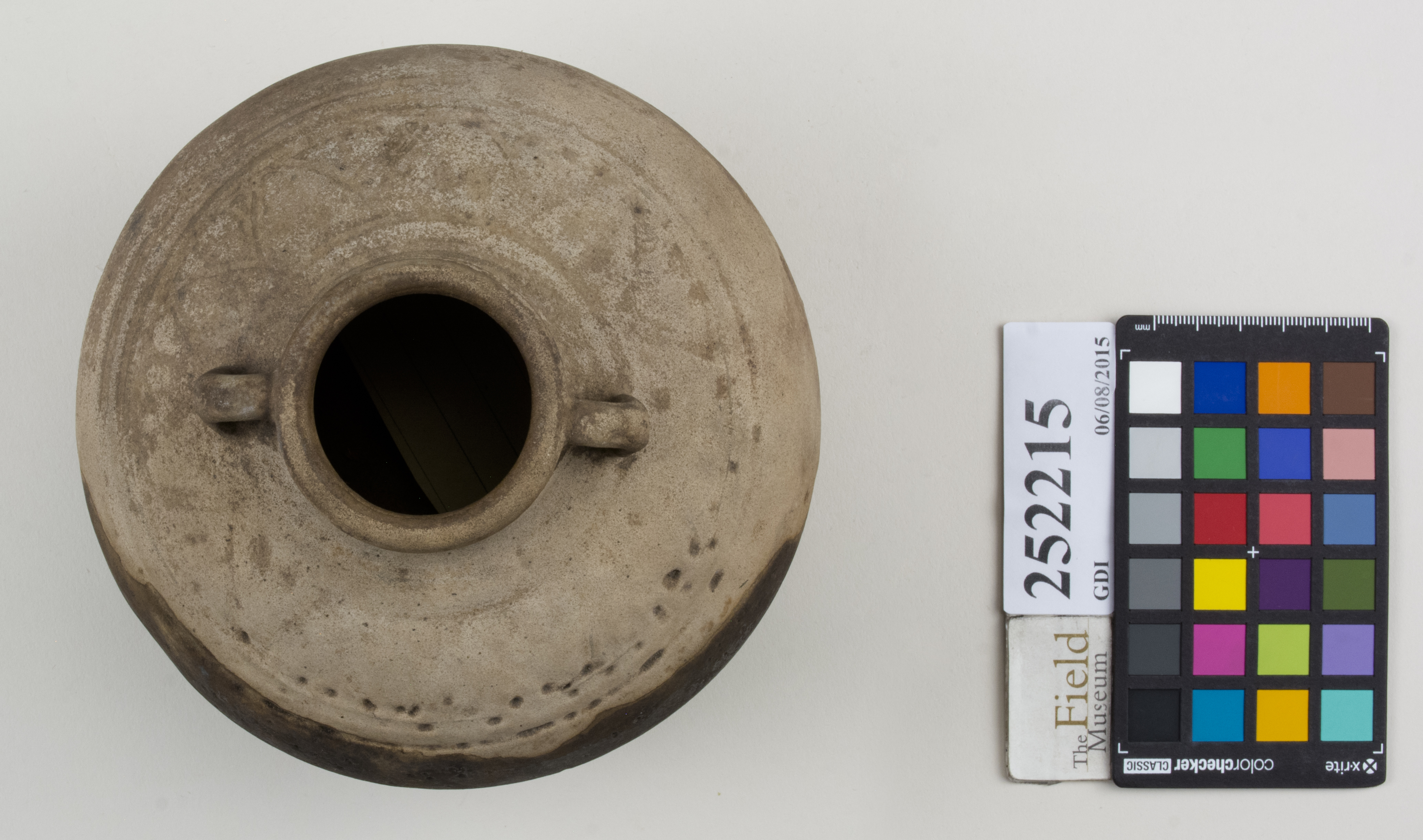 Top (c) Field Museum of Natural History - CC BY-NC 4.0