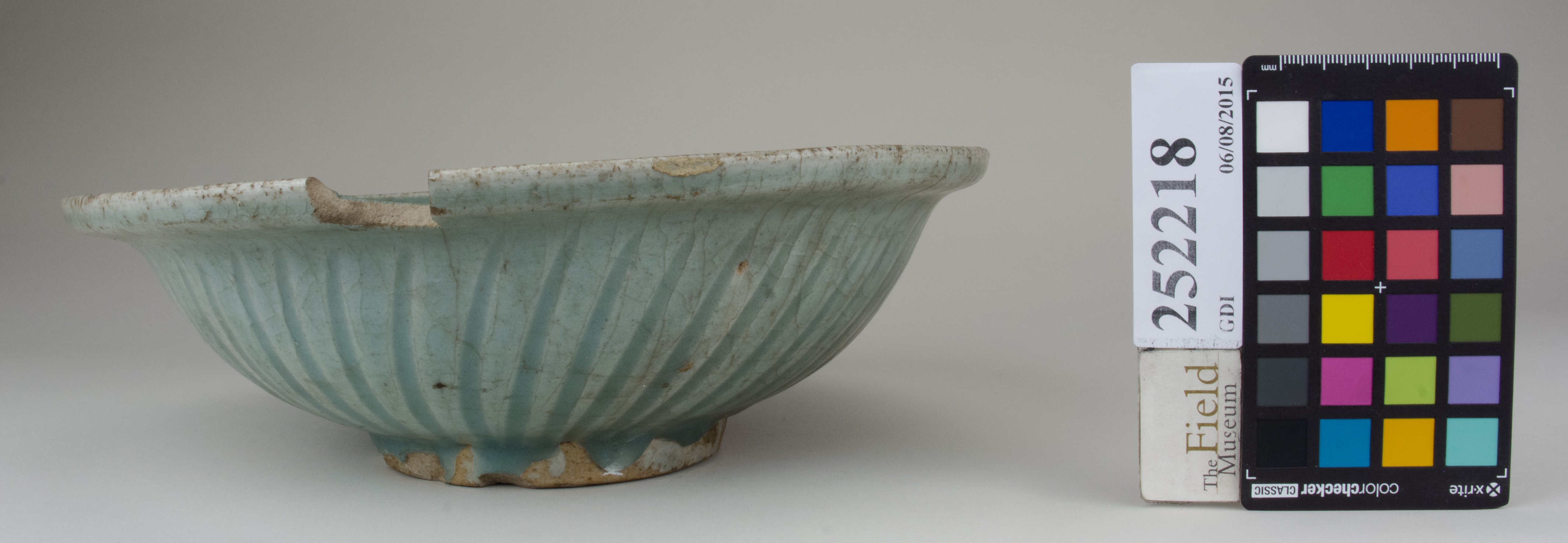 reference image, back (c) Field Museum of Natural History - CC BY-NC 4.0