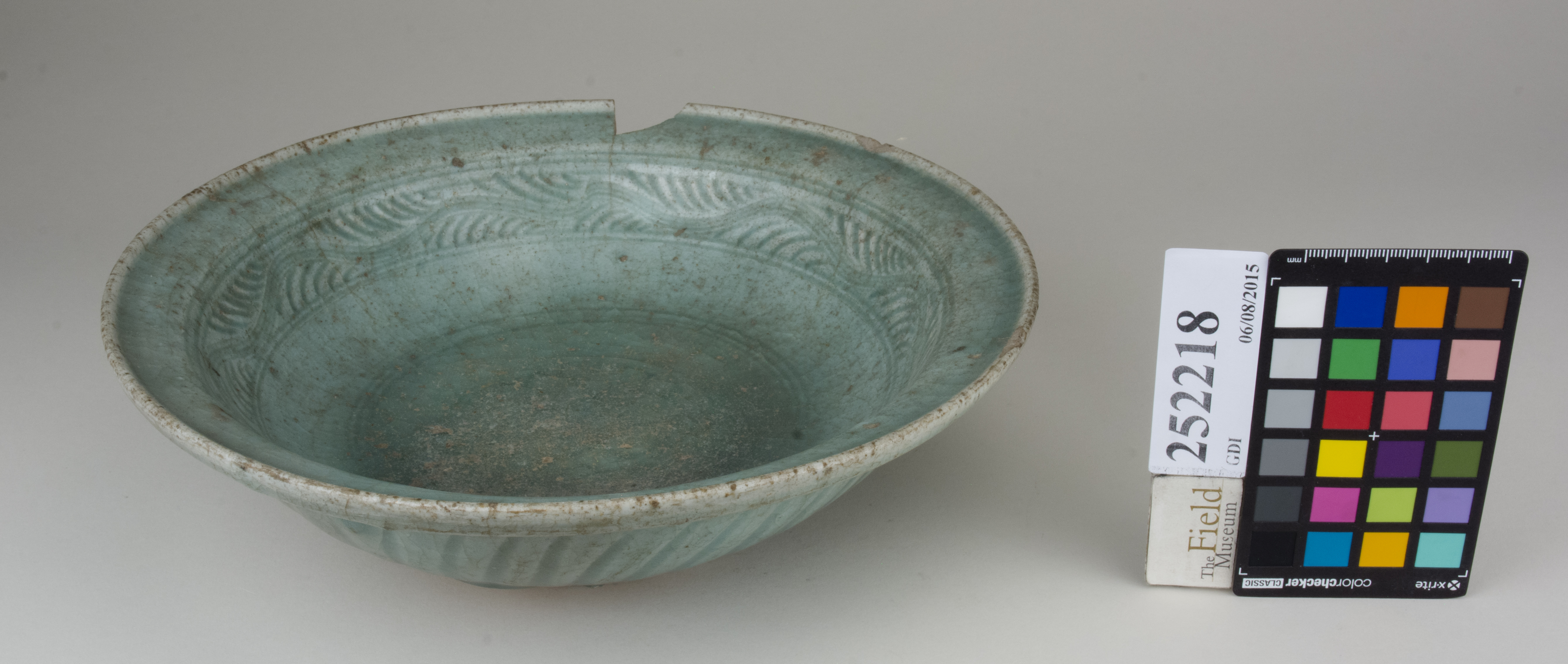 FrontAngle (c) Field Museum of Natural History - CC BY-NC 4.0