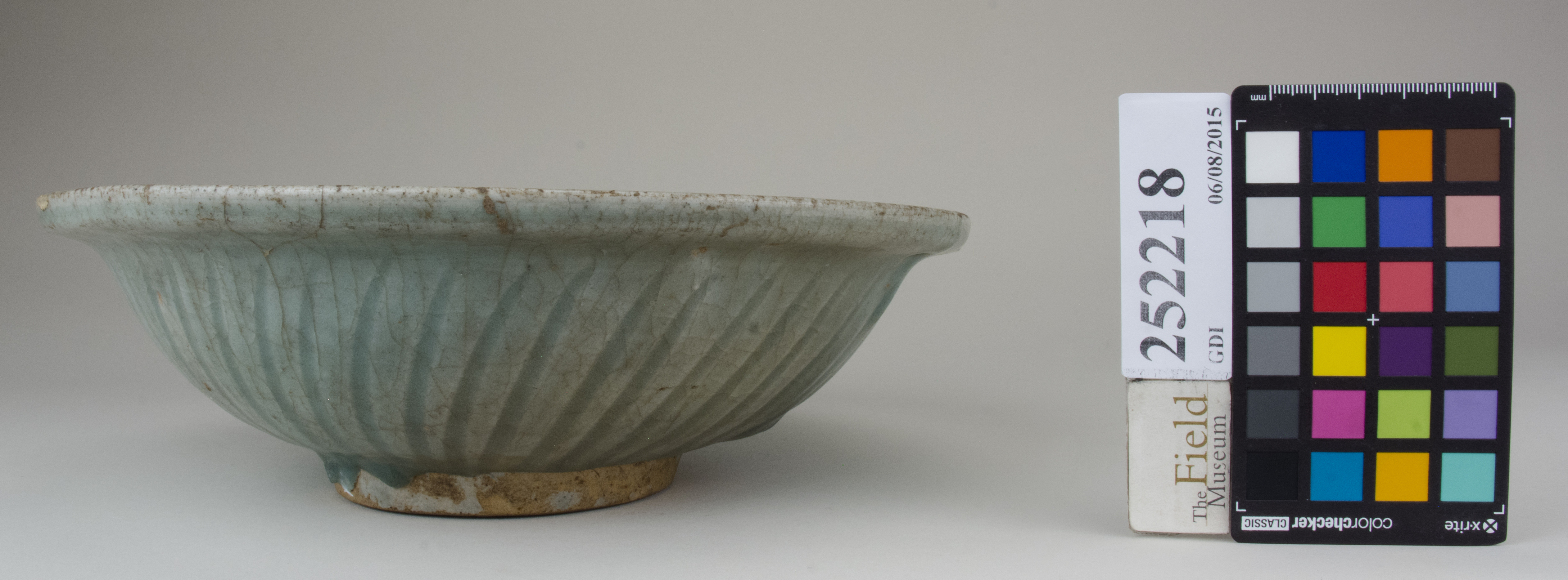 Right (c) Field Museum of Natural History - CC BY-NC 4.0