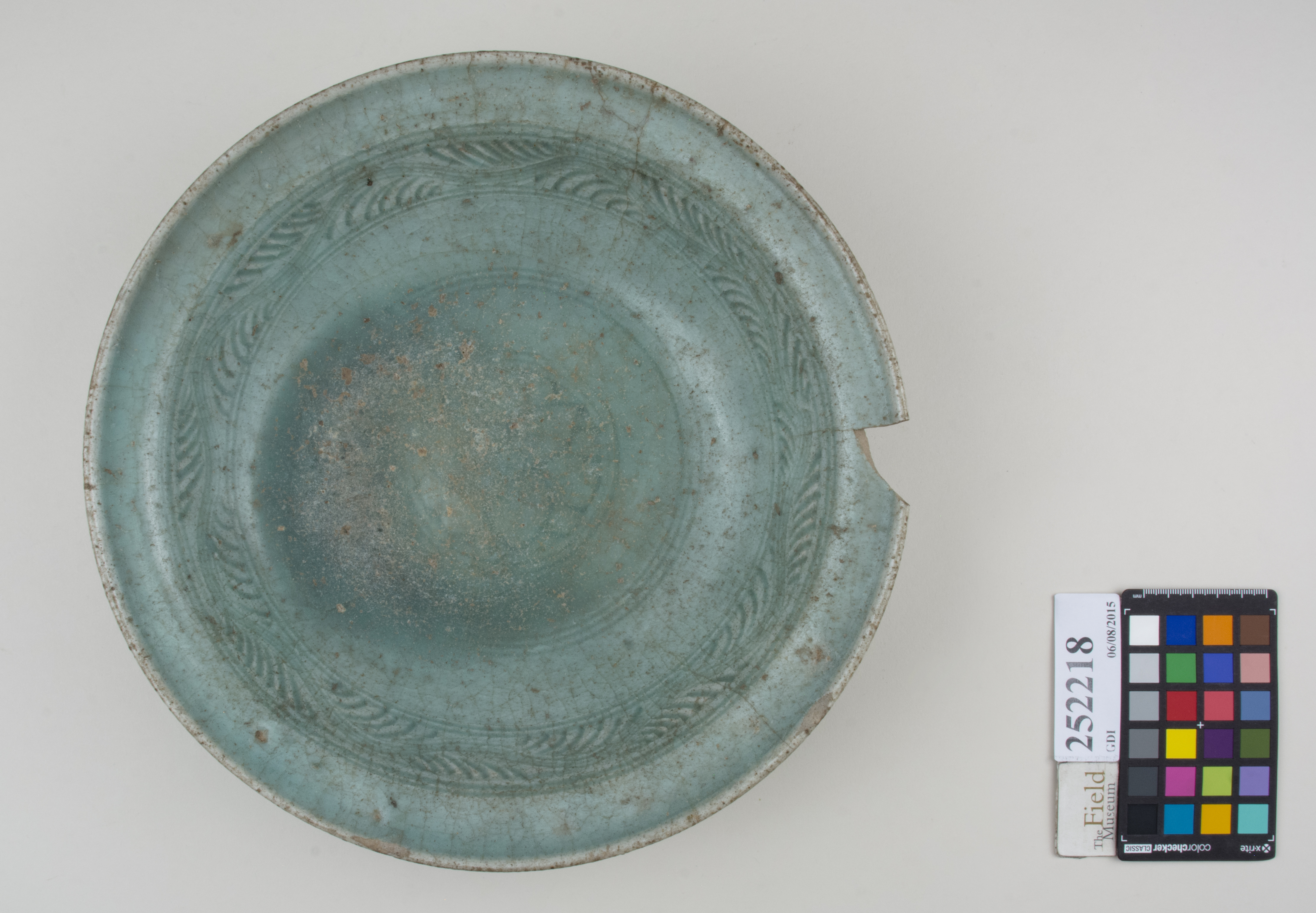 Top (c) Field Museum of Natural History - CC BY-NC 4.0