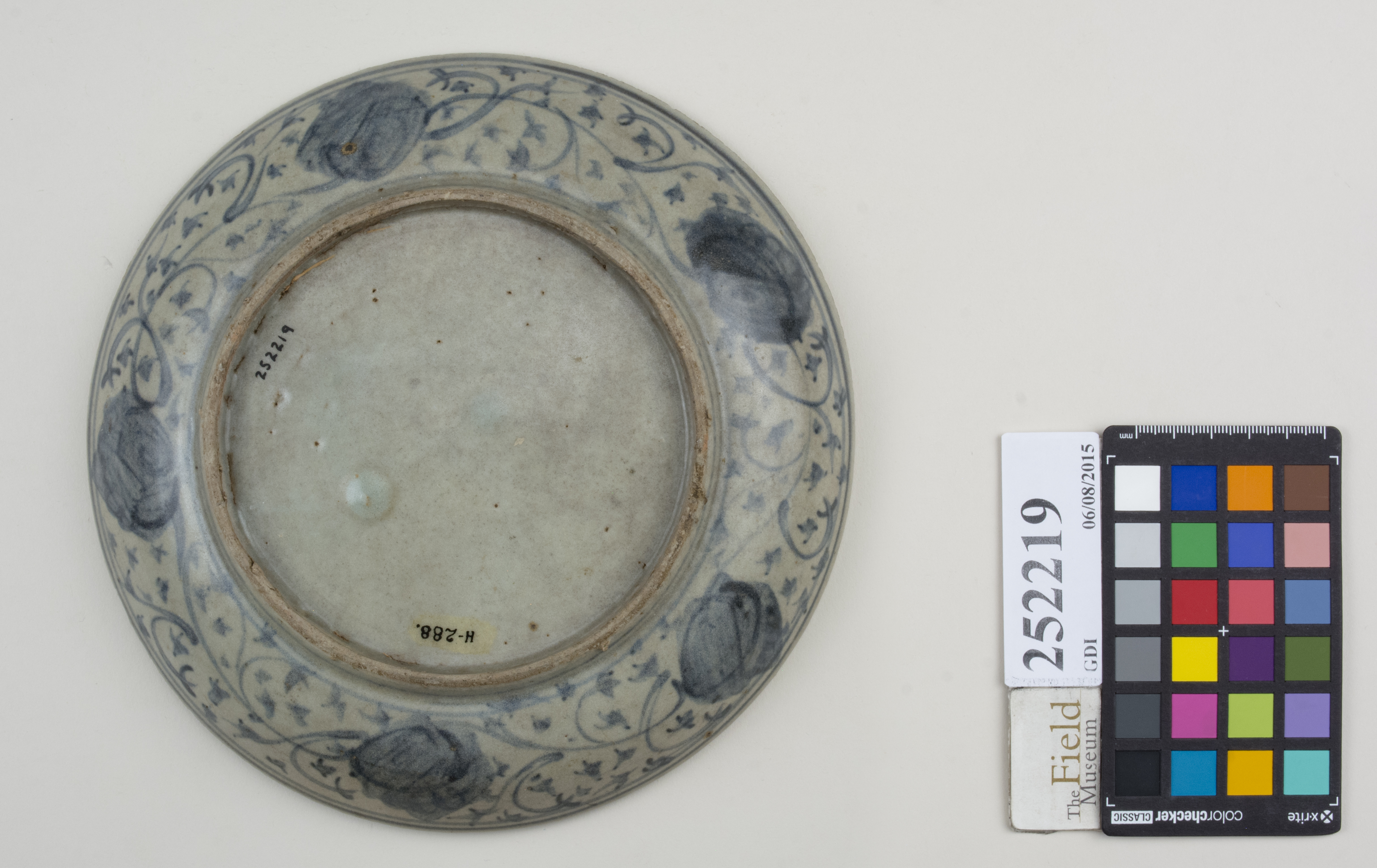 Bottom (c) Field Museum of Natural History - CC BY-NC 4.0