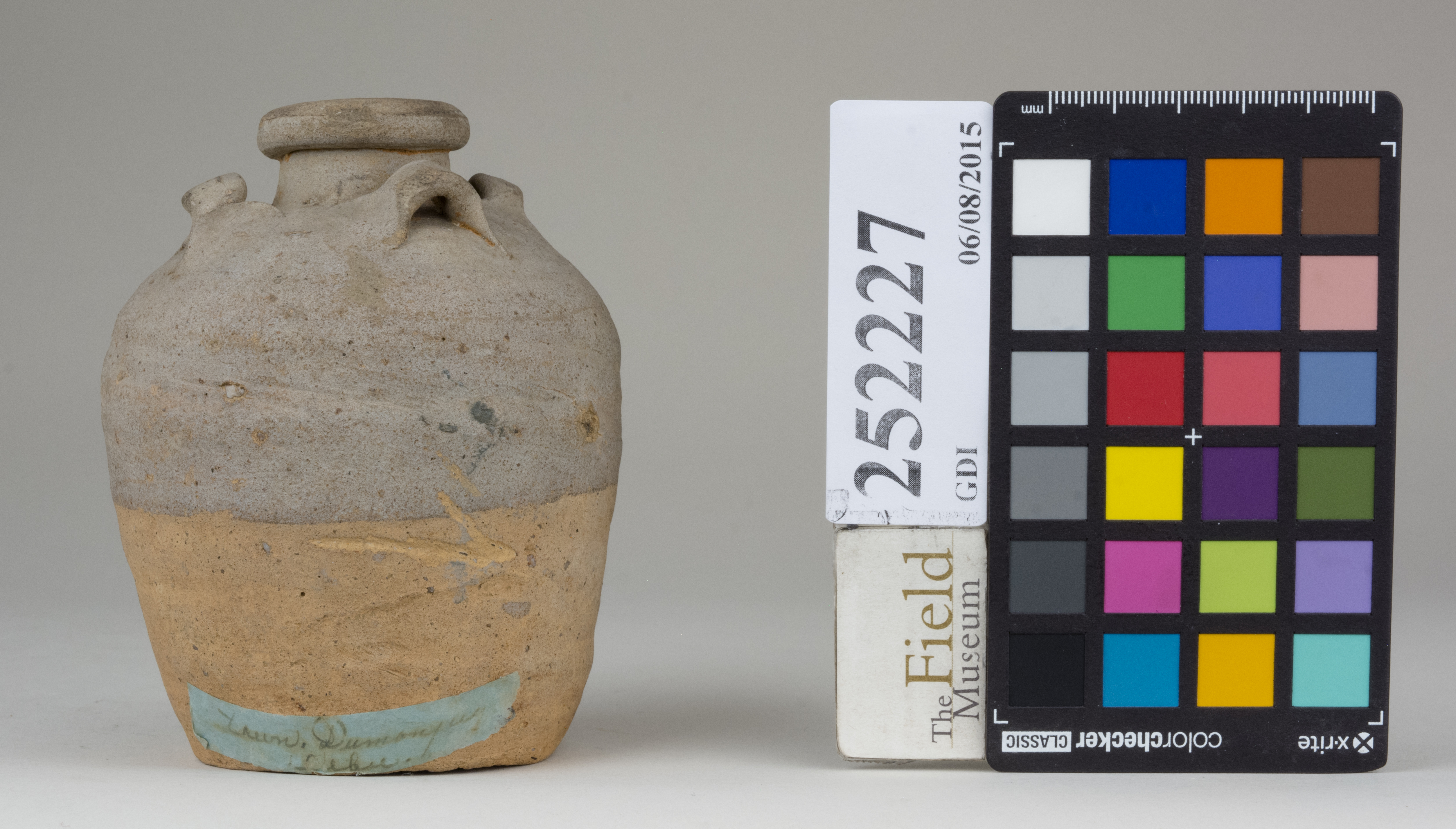 reference image, back (c) Field Museum of Natural History - CC BY-NC 4.0