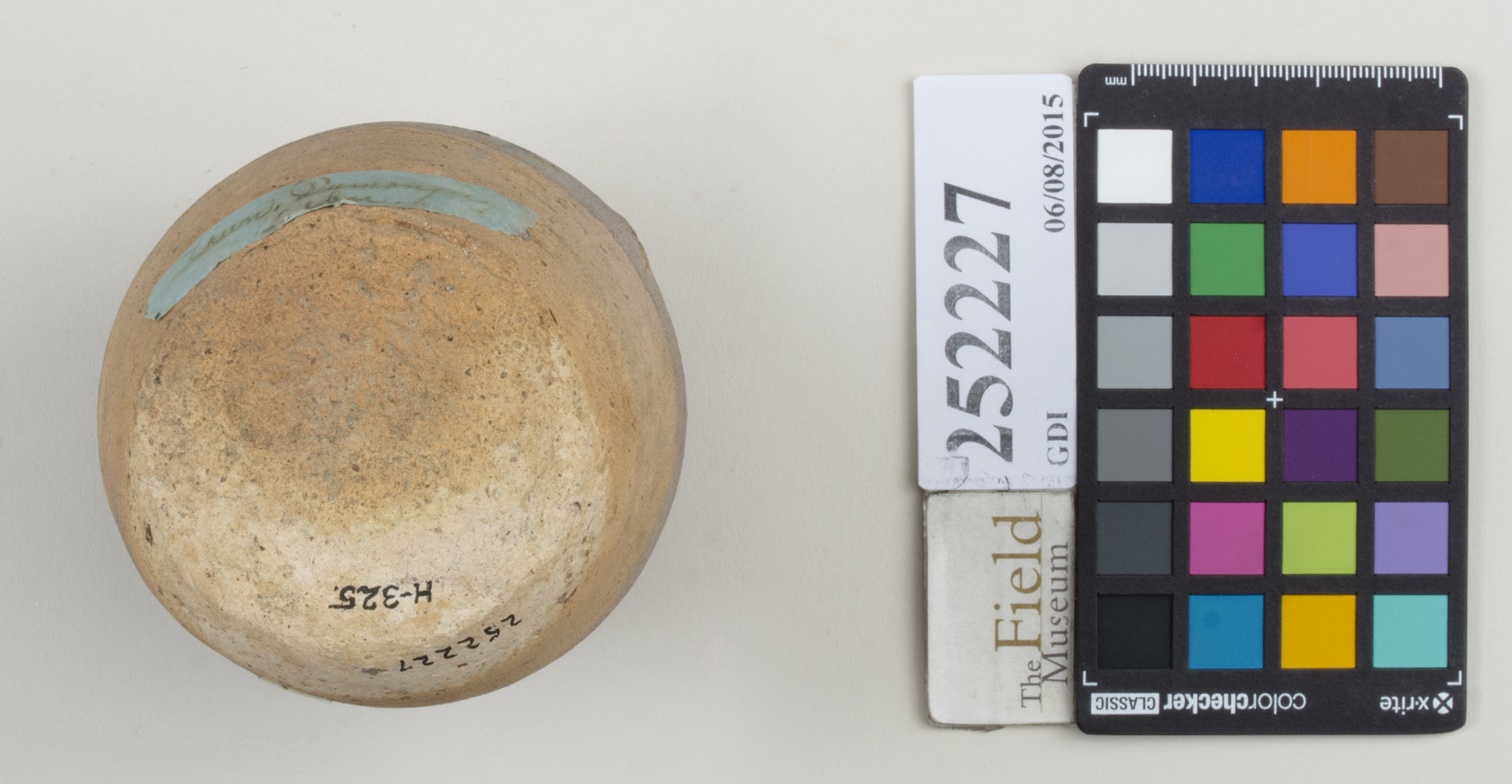 Bottom (c) Field Museum of Natural History - CC BY-NC 4.0