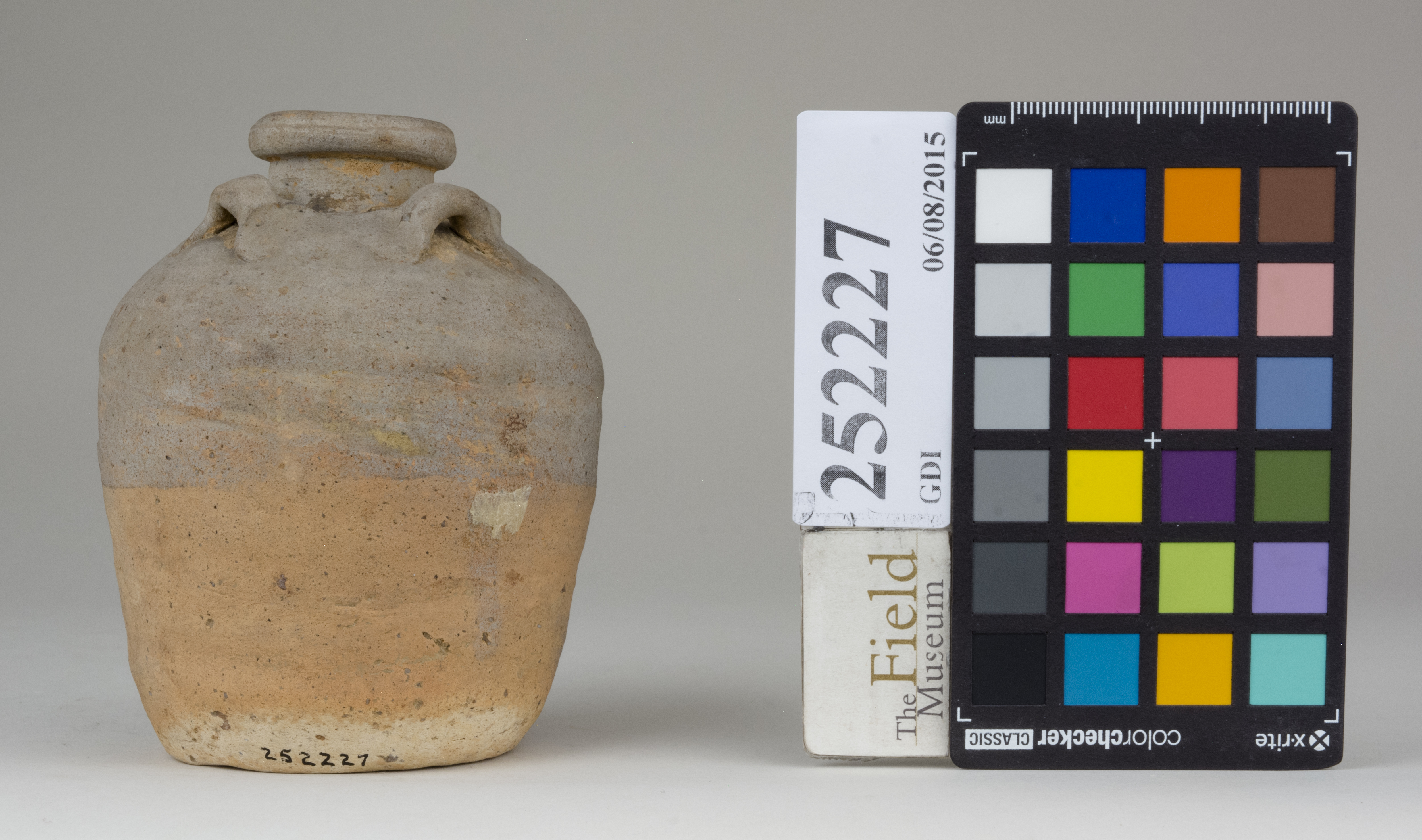 Front (c) Field Museum of Natural History - CC BY-NC 4.0