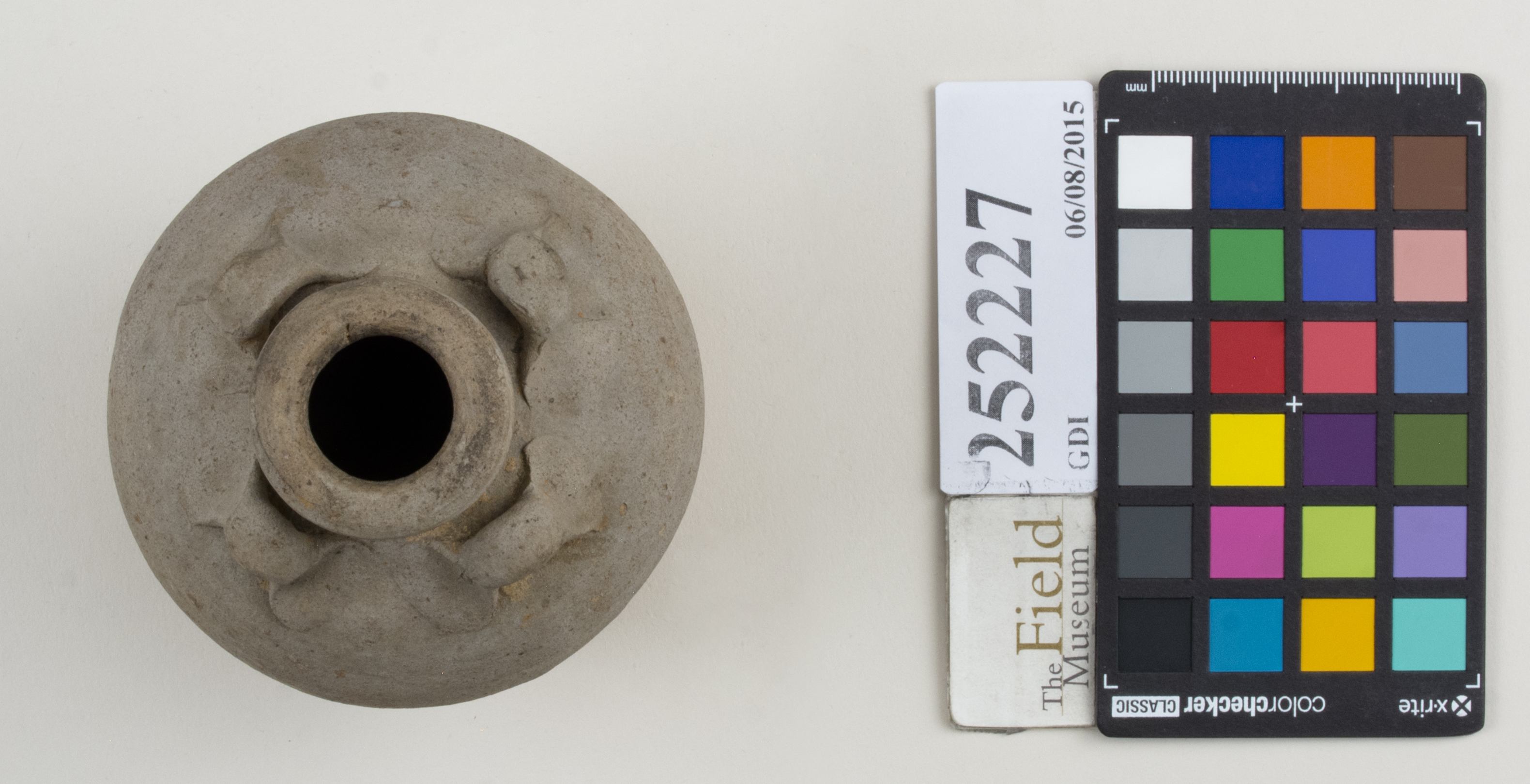 Top (c) Field Museum of Natural History - CC BY-NC 4.0