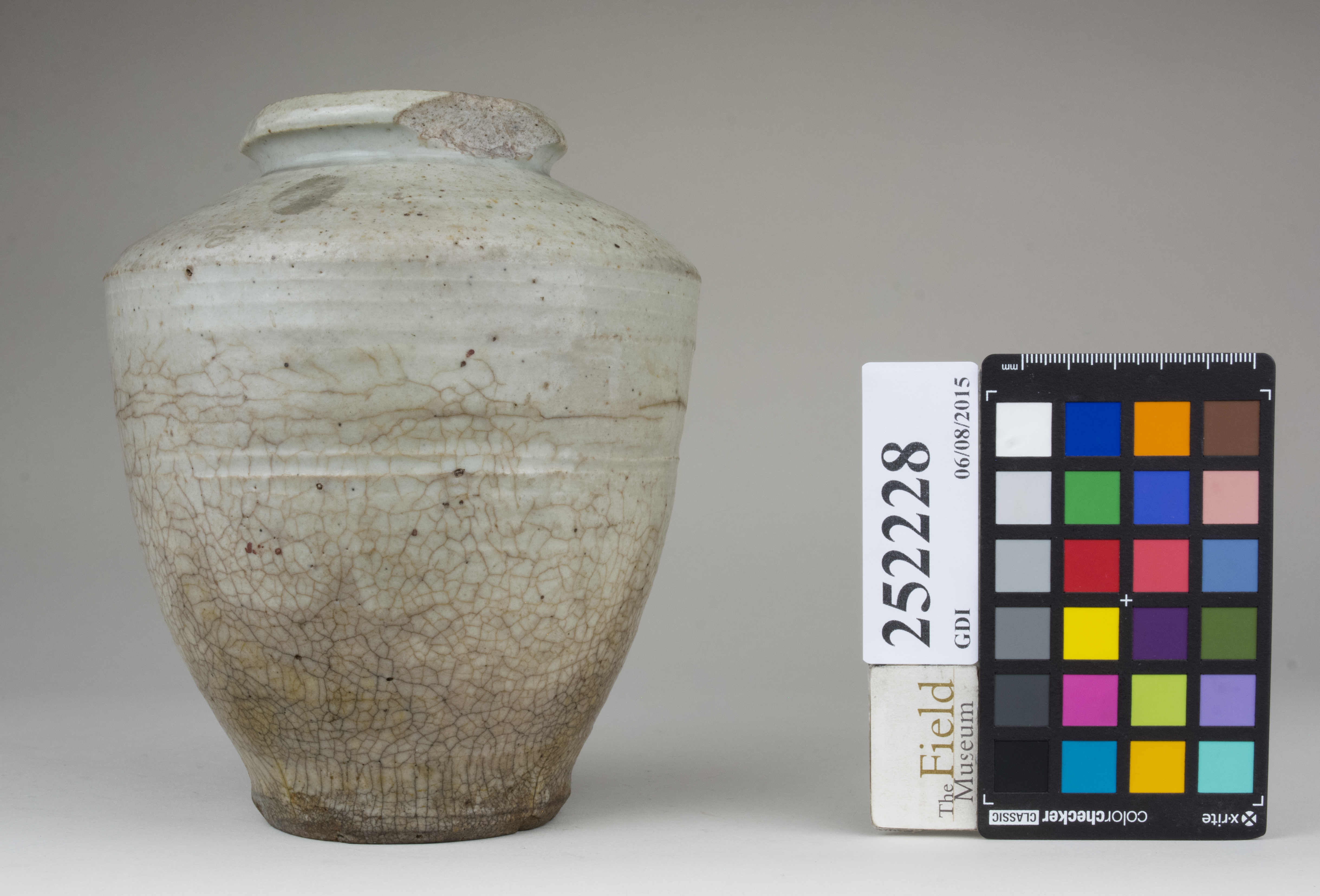 reference image, back (c) Field Museum of Natural History - CC BY-NC 4.0