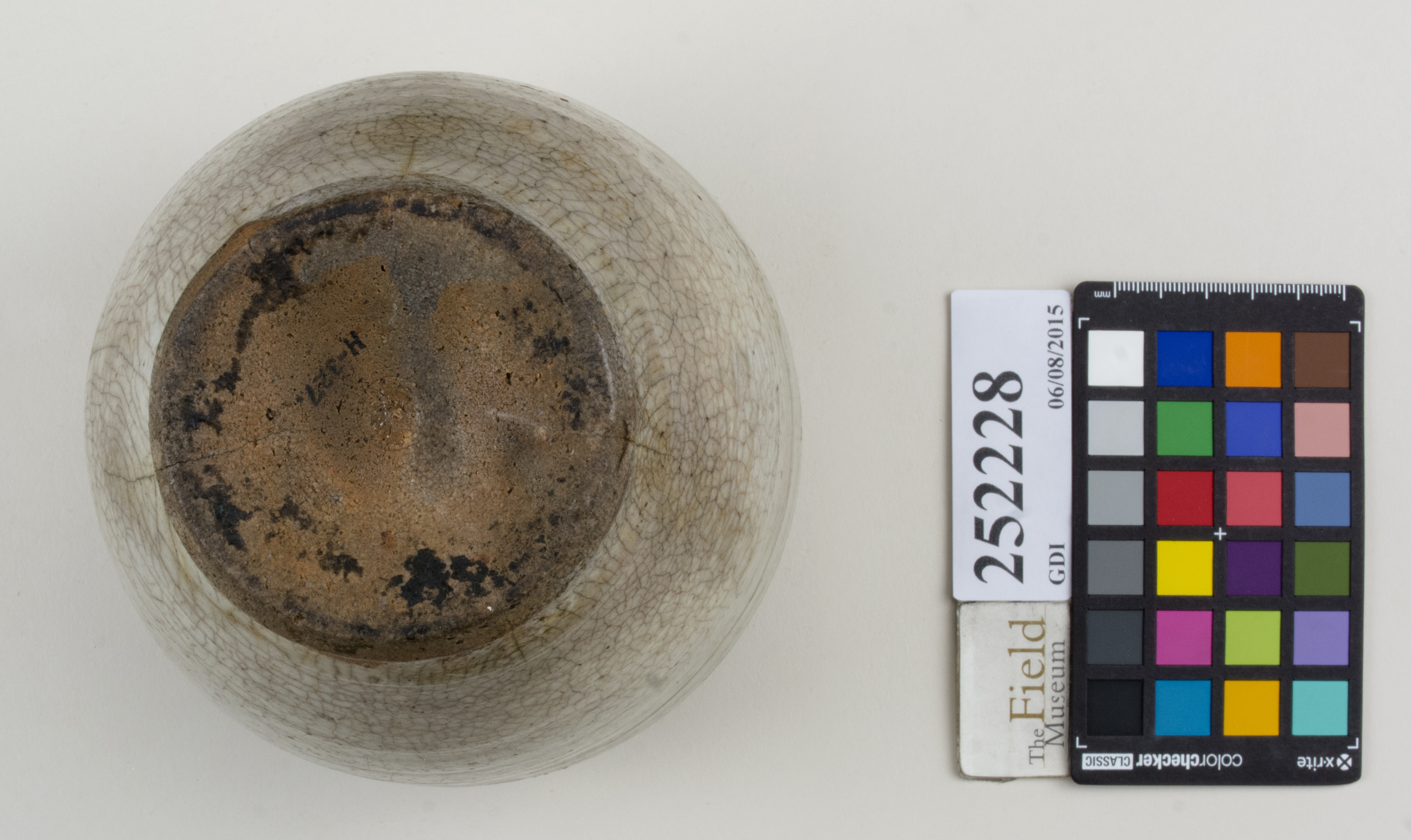 Bottom (c) Field Museum of Natural History - CC BY-NC 4.0